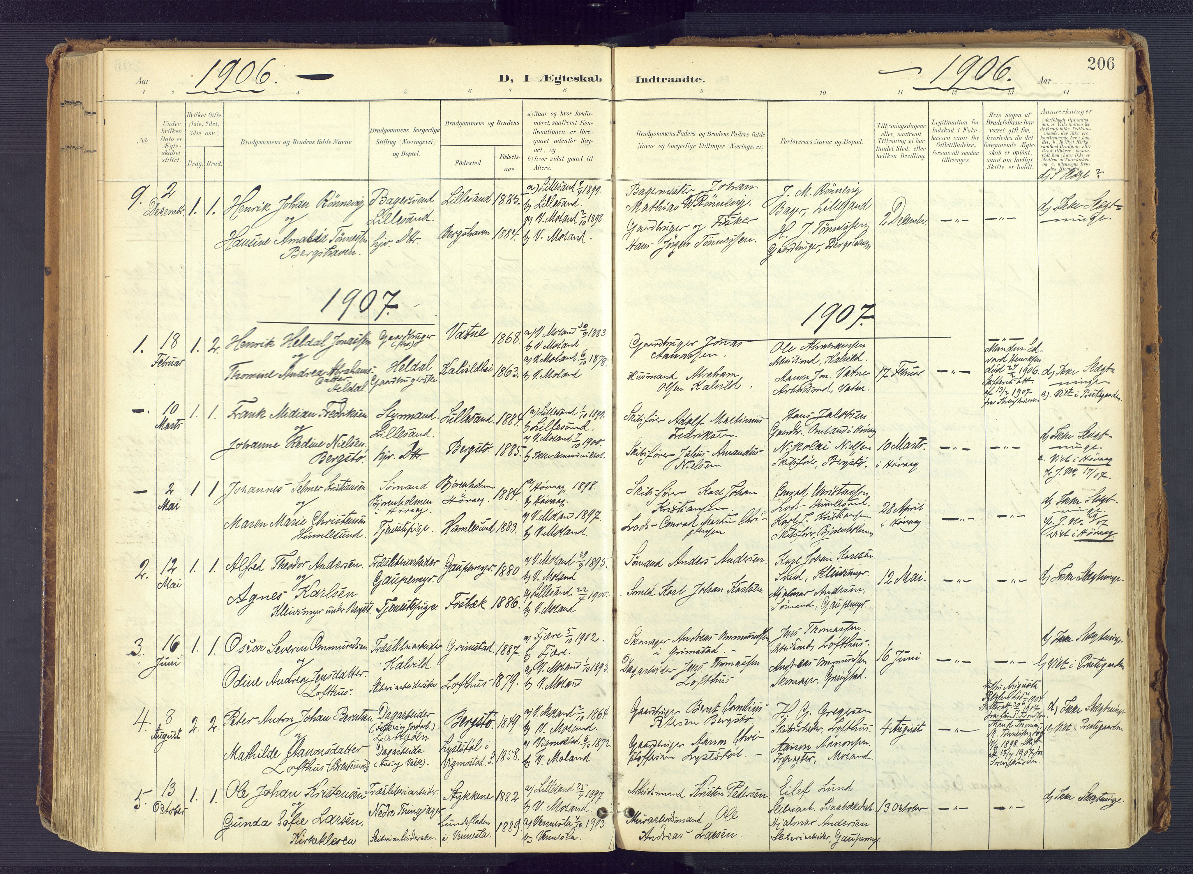 Vestre Moland sokneprestkontor, SAK/1111-0046/F/Fa/Fab/L0010: Parish register (official) no. A 10, 1900-1926, p. 206
