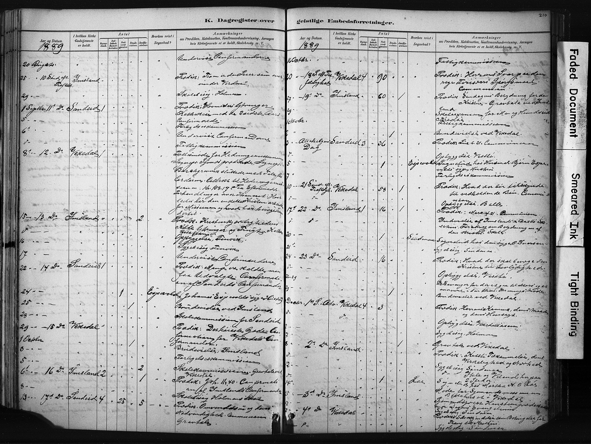 Vikedal sokneprestkontor, AV/SAST-A-101840/01/IV: Parish register (official) no. A 10, 1884-1907, p. 210