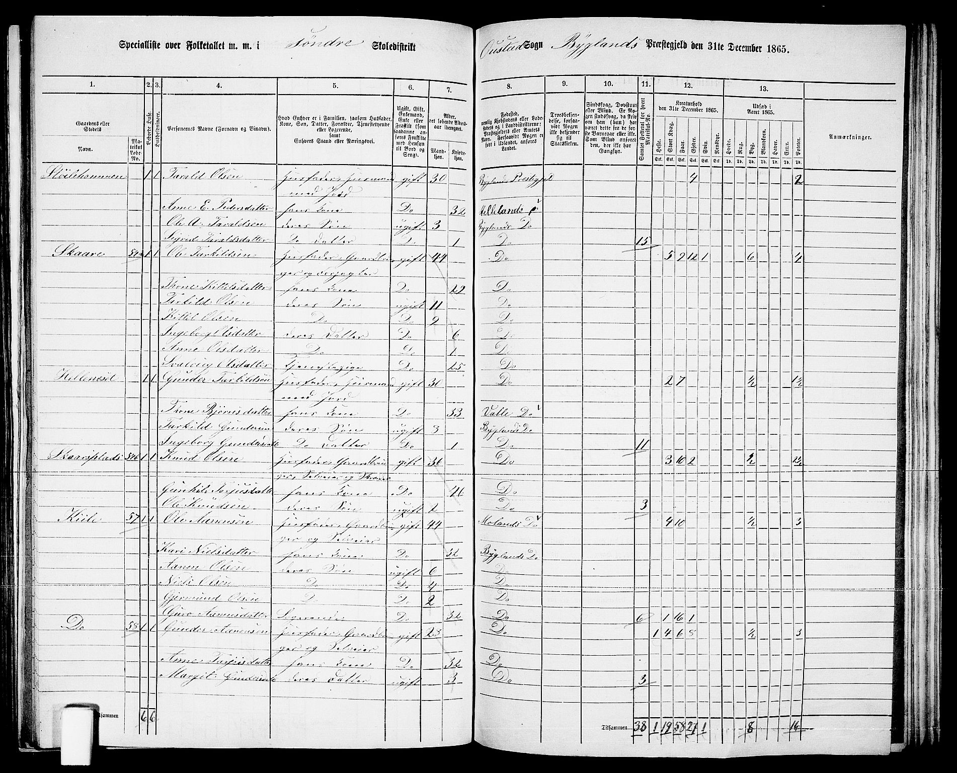 RA, 1865 census for Bygland, 1865, p. 31