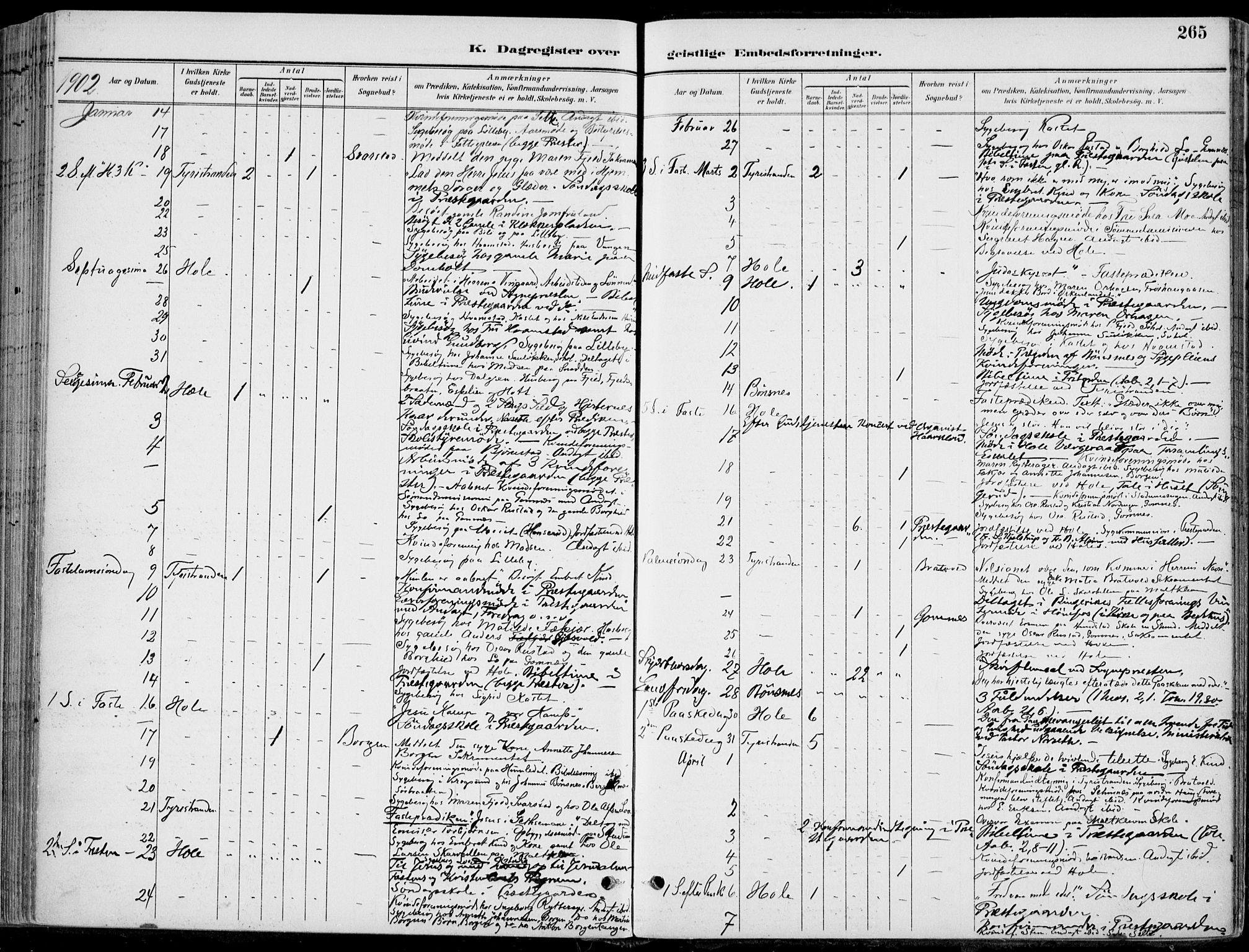 Hole kirkebøker, AV/SAKO-A-228/F/Fa/L0009: Parish register (official) no. I 9, 1892-1907, p. 265