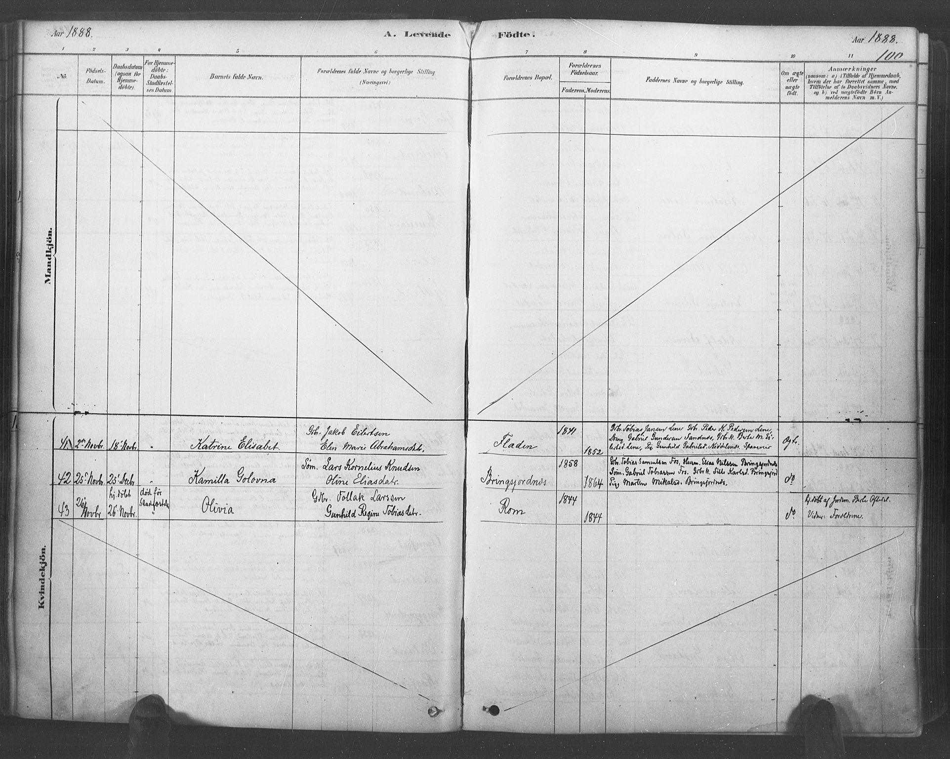 Lyngdal sokneprestkontor, AV/SAK-1111-0029/F/Fa/Fac/L0011: Parish register (official) no. A 11, 1878-1893, p. 100