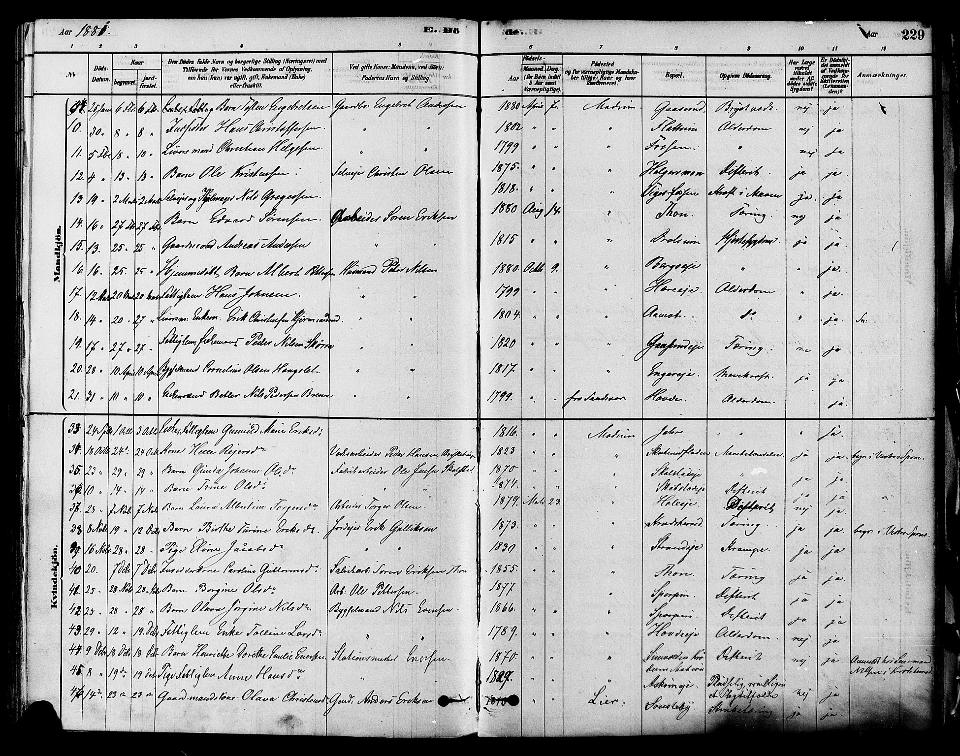 Modum kirkebøker, SAKO/A-234/F/Fa/L0011: Parish register (official) no. 11, 1877-1889, p. 229