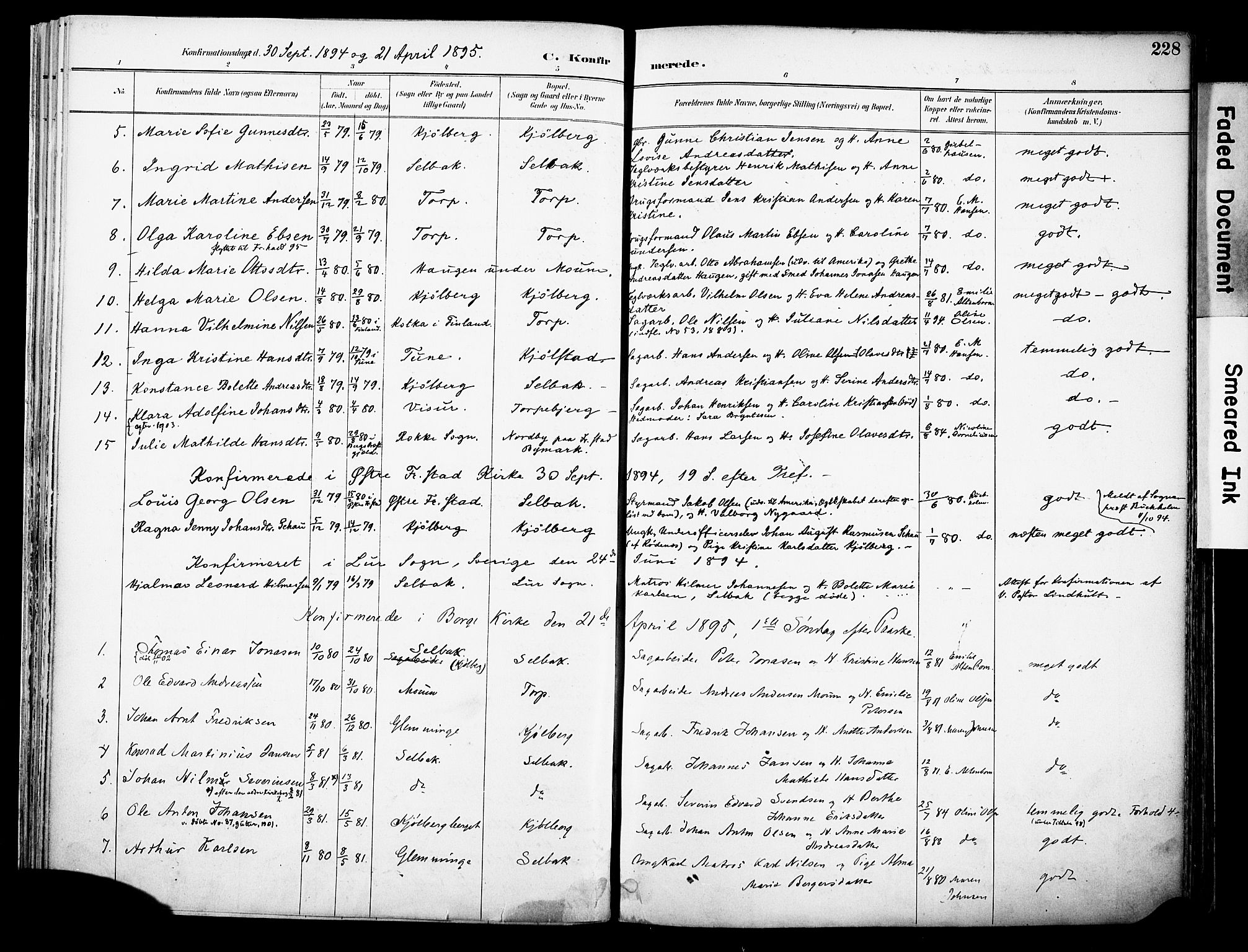 Borge prestekontor Kirkebøker, AV/SAO-A-10903/F/Fa/L0008: Parish register (official) no. I 8B, 1887-1902, p. 228