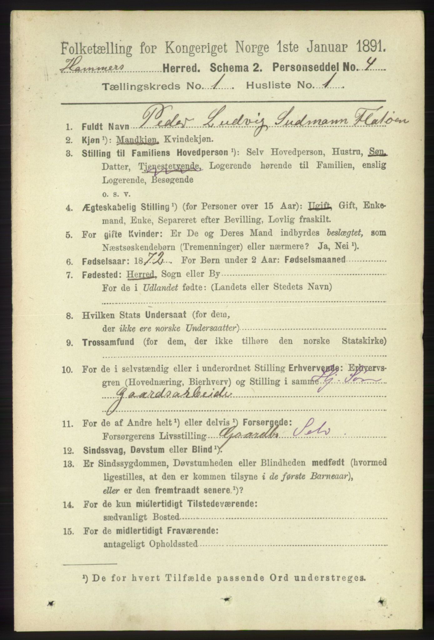 RA, 1891 census for 1254 Hamre, 1891, p. 67