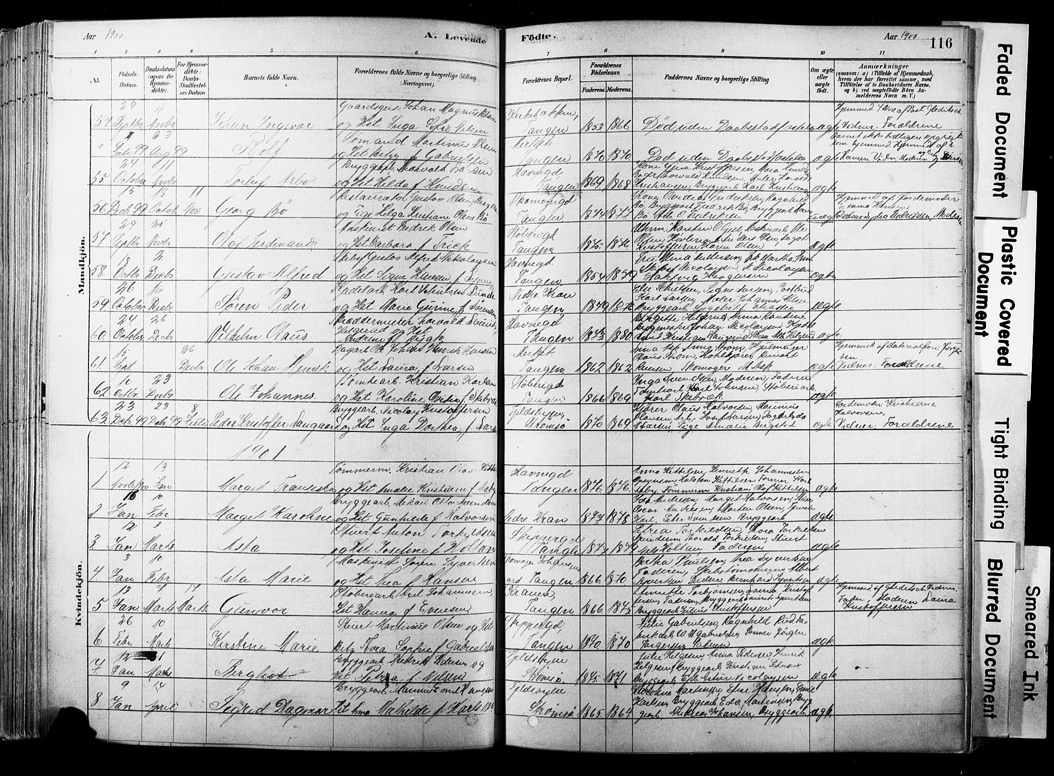 Strømsø kirkebøker, SAKO/A-246/F/Fb/L0006: Parish register (official) no. II 6, 1879-1910, p. 116