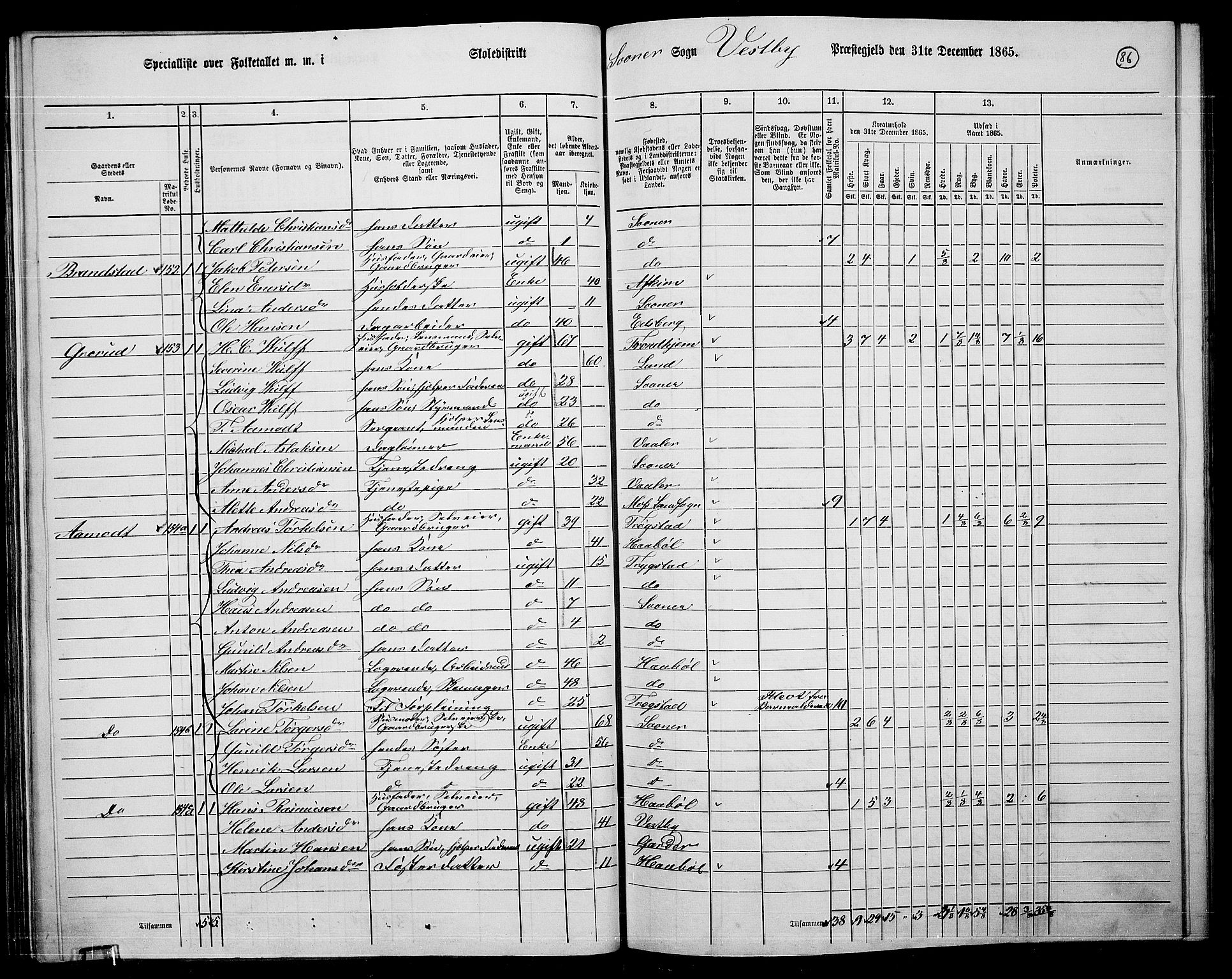 RA, 1865 census for Vestby, 1865, p. 80