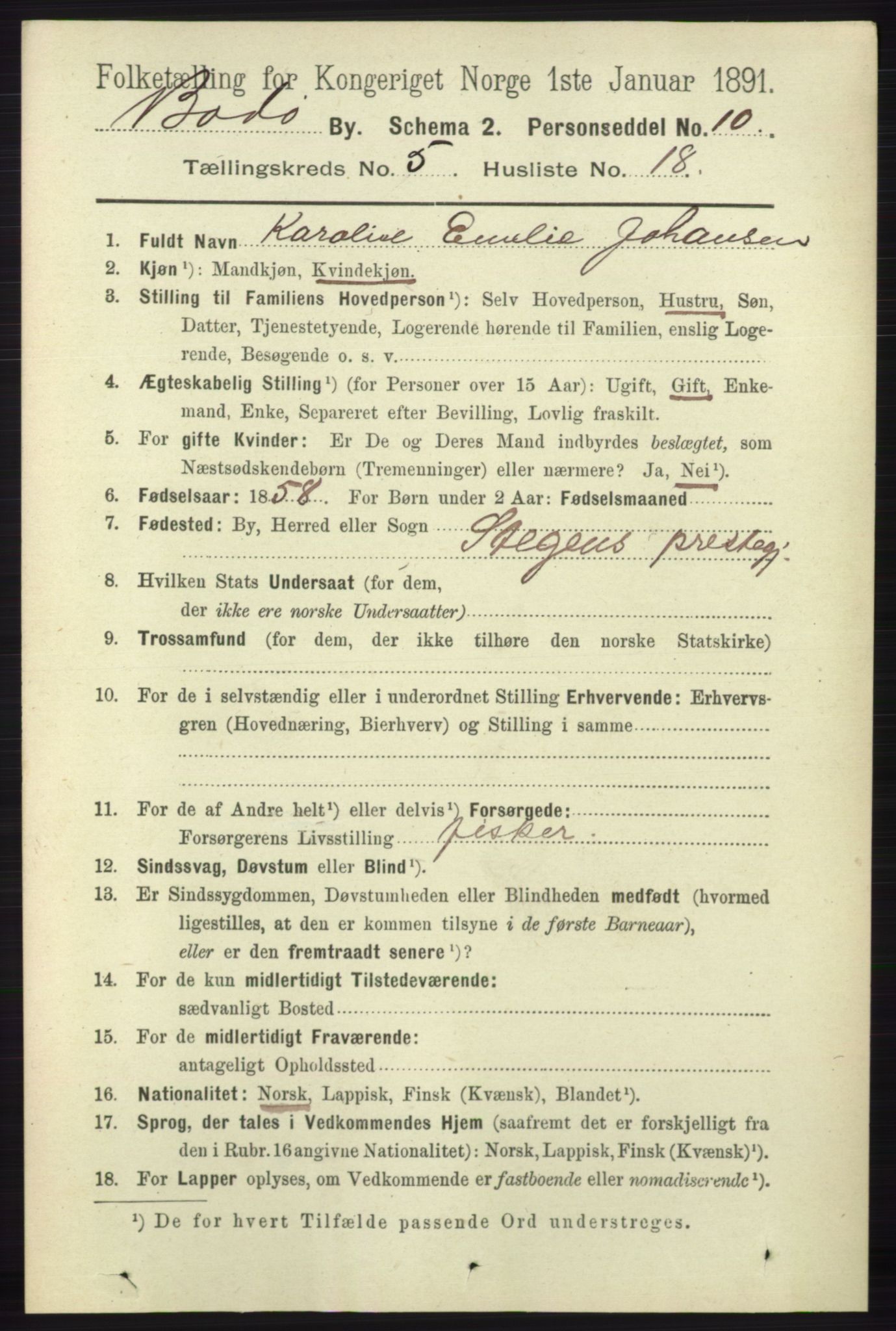 RA, 1891 census for 1804 Bodø, 1891, p. 4176
