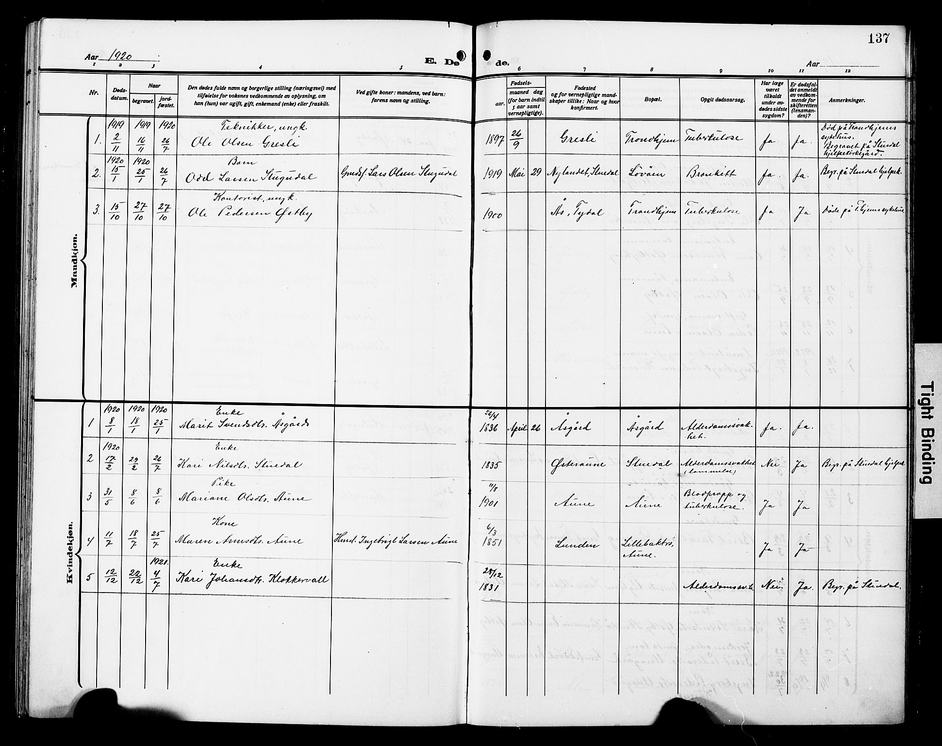 Ministerialprotokoller, klokkerbøker og fødselsregistre - Sør-Trøndelag, SAT/A-1456/698/L1168: Parish register (copy) no. 698C05, 1908-1930, p. 137