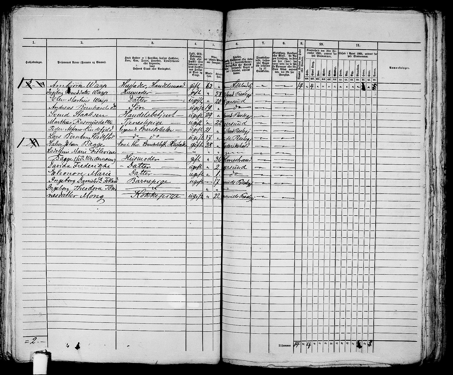 RA, 1865 census for Eigersund parish, Egersund town, 1865, p. 373