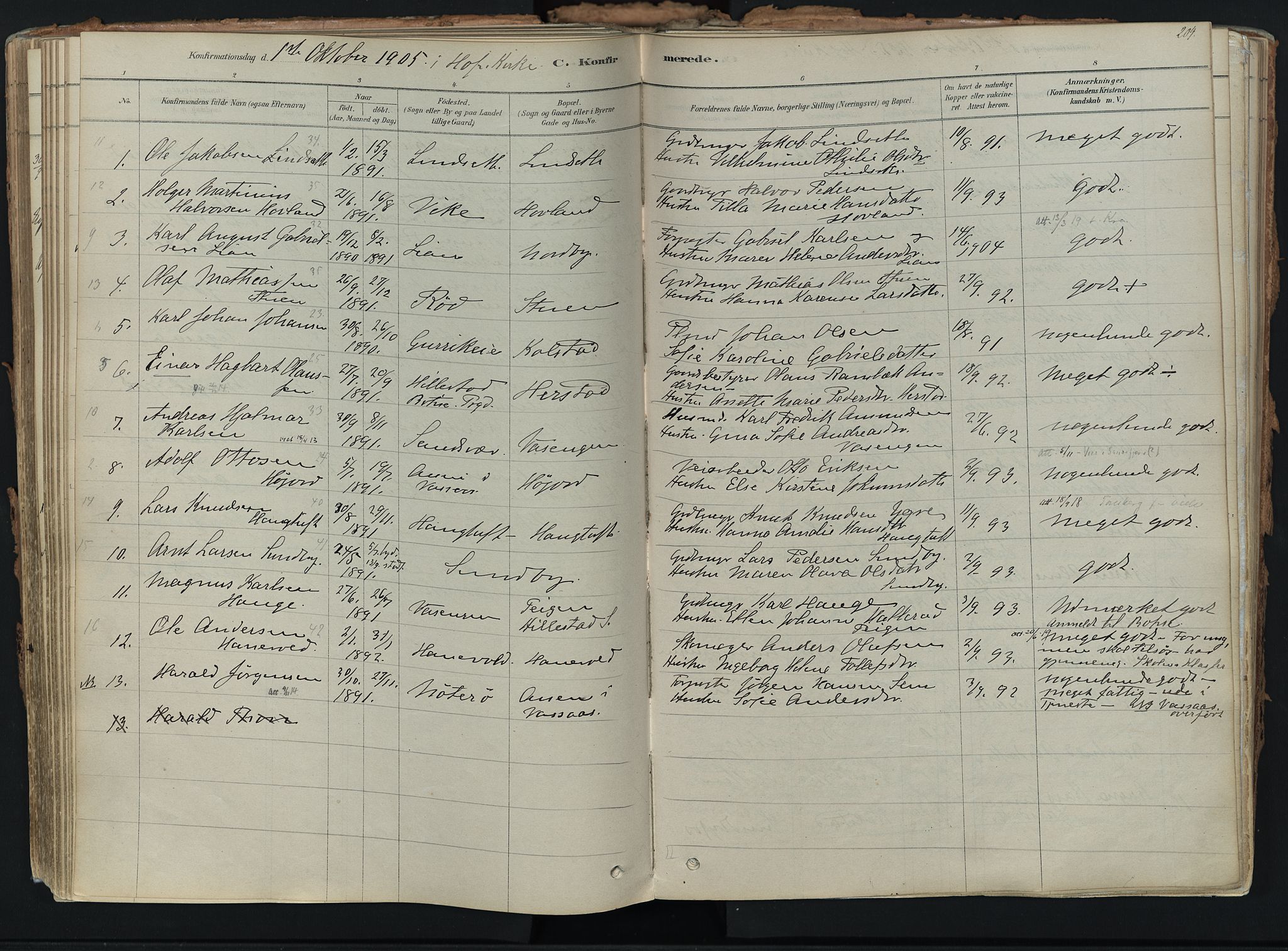Hof kirkebøker, SAKO/A-64/F/Fa/L0007: Parish register (official) no. I 7, 1878-1940, p. 204