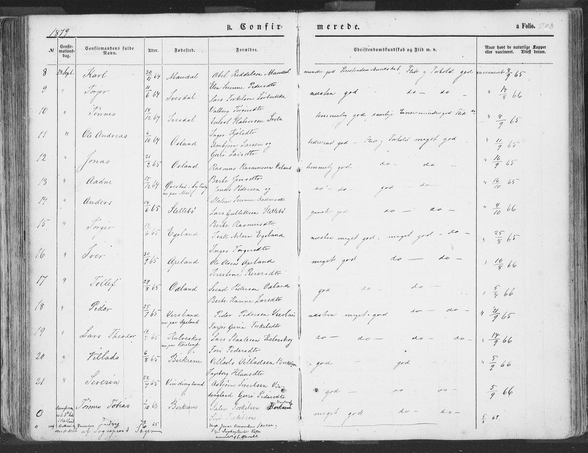 Helleland sokneprestkontor, AV/SAST-A-101810: Parish register (official) no. A 7.1, 1863-1886, p. 208