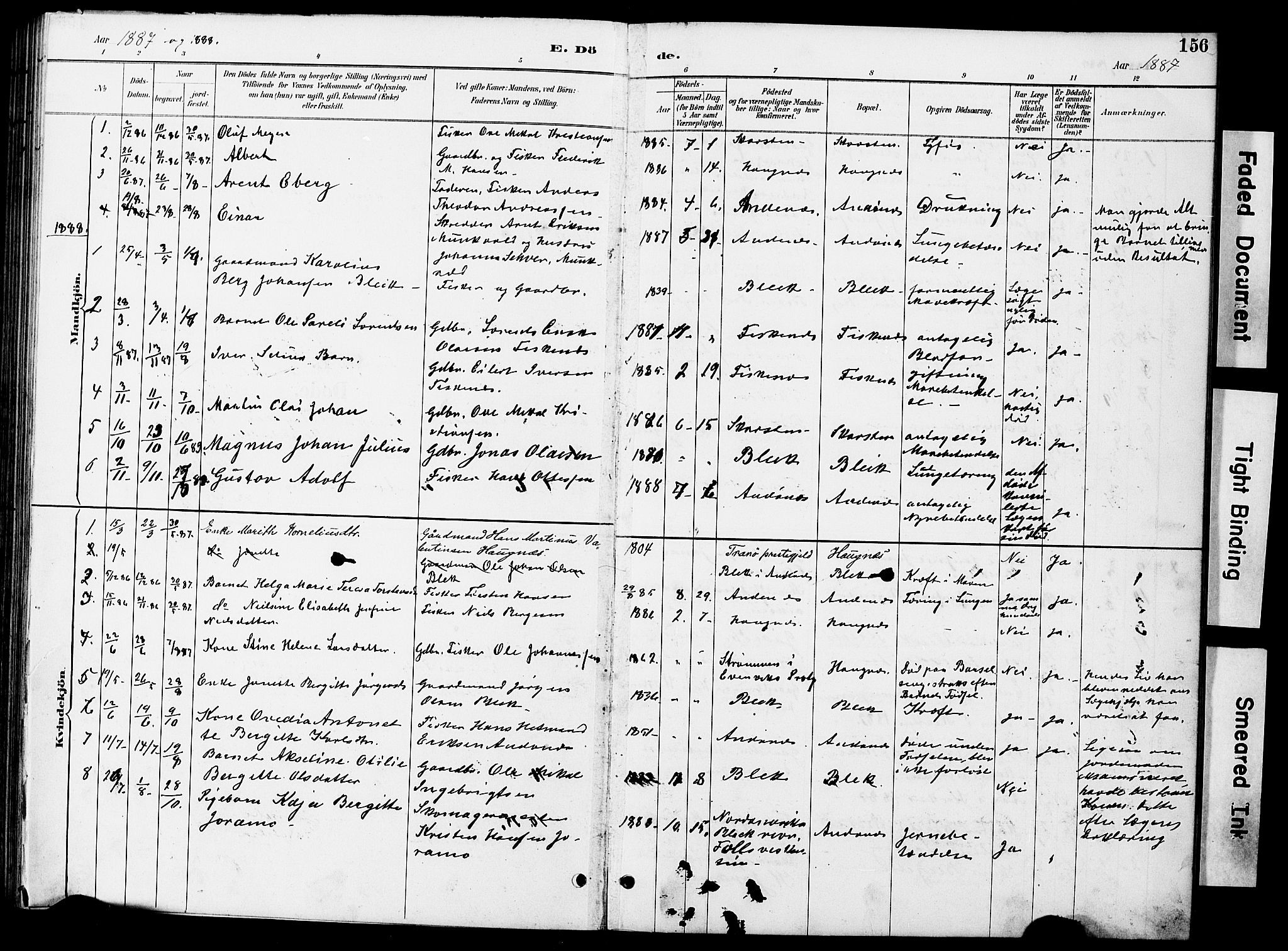 Ministerialprotokoller, klokkerbøker og fødselsregistre - Nordland, AV/SAT-A-1459/899/L1448: Parish register (copy) no. 899C03, 1887-1902, p. 156