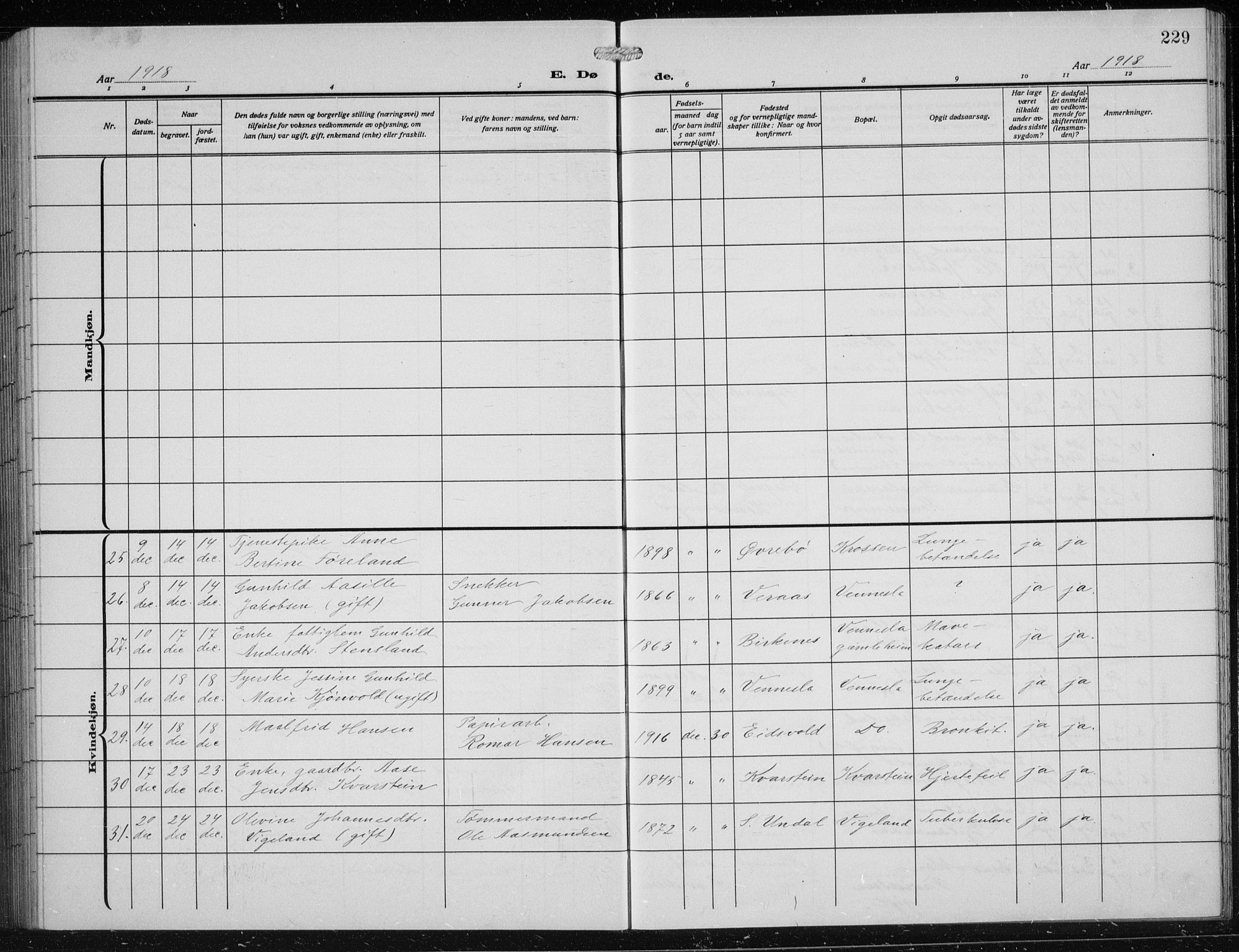 Vennesla sokneprestkontor, SAK/1111-0045/Fb/Fbb/L0006: Parish register (copy) no. B 6, 1914-1921, p. 229