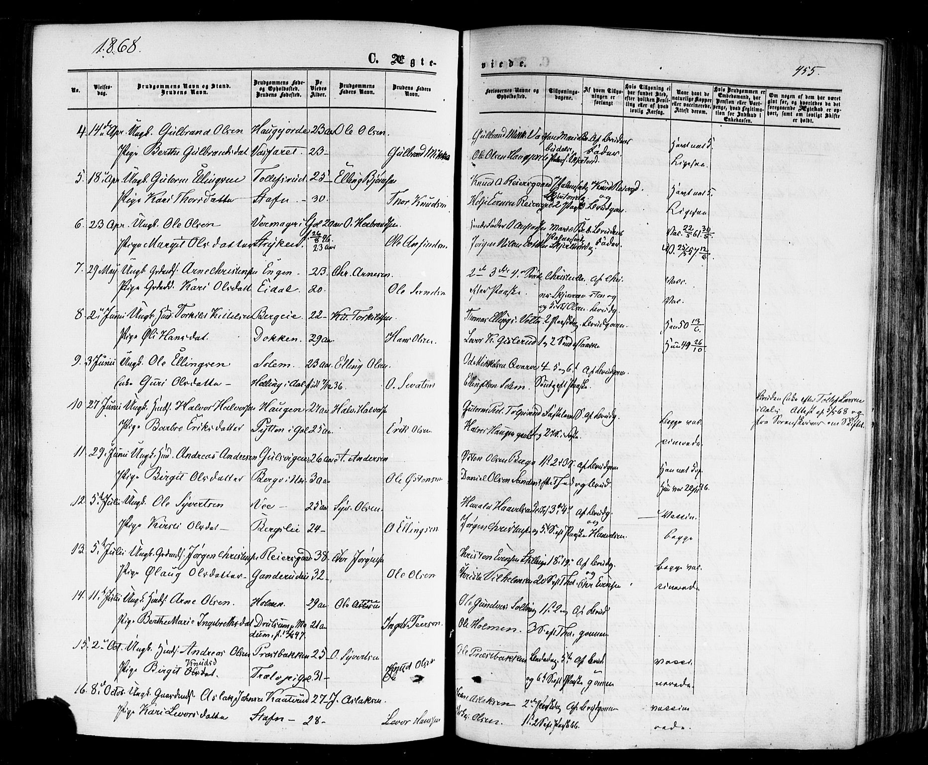 Nes kirkebøker, AV/SAKO-A-236/F/Fa/L0010: Parish register (official) no. 10, 1864-1880, p. 455