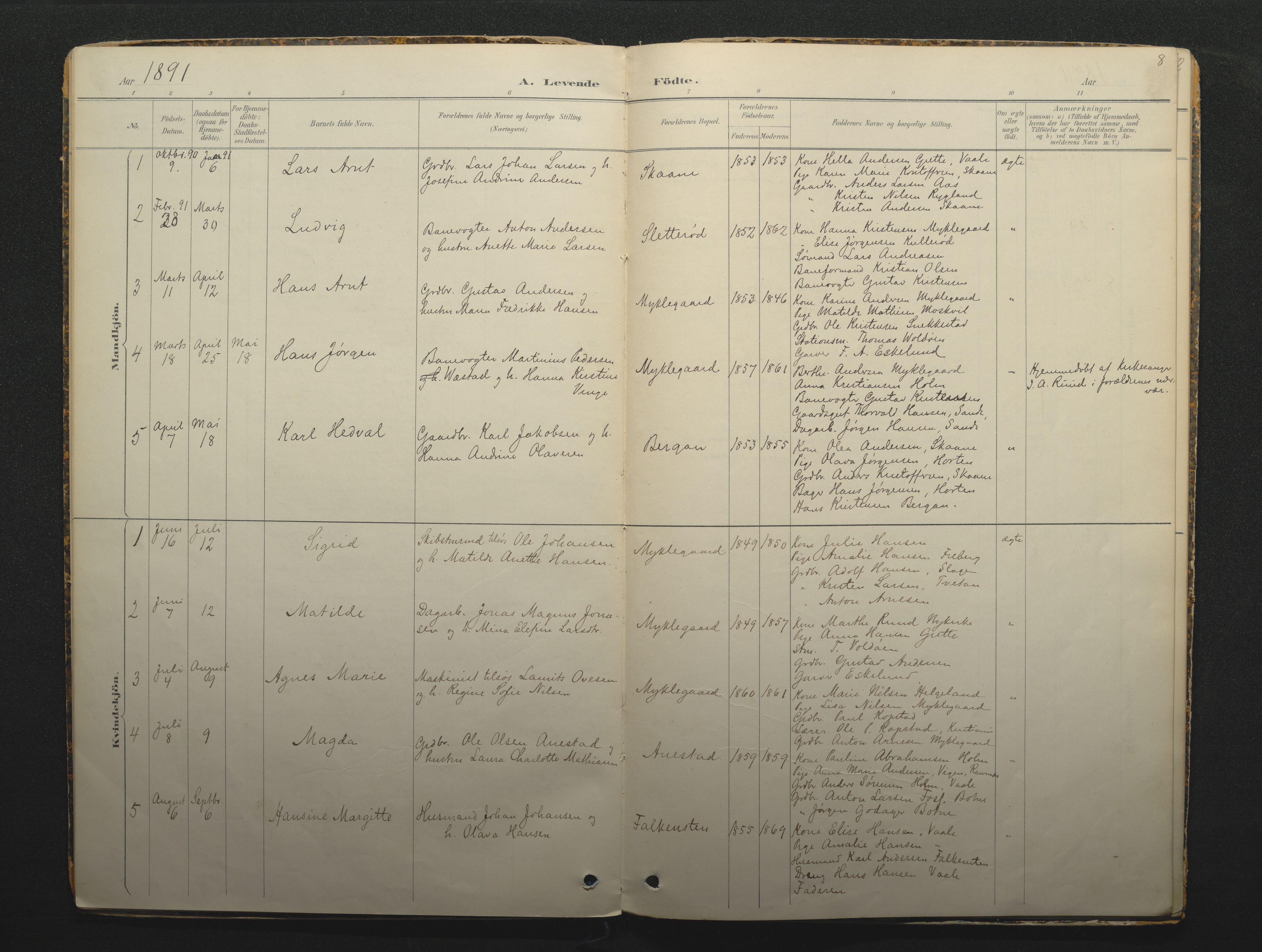 Borre kirkebøker, SAKO/A-338/F/Fc/L0002: Parish register (official) no. III 2, 1888-1896, p. 8