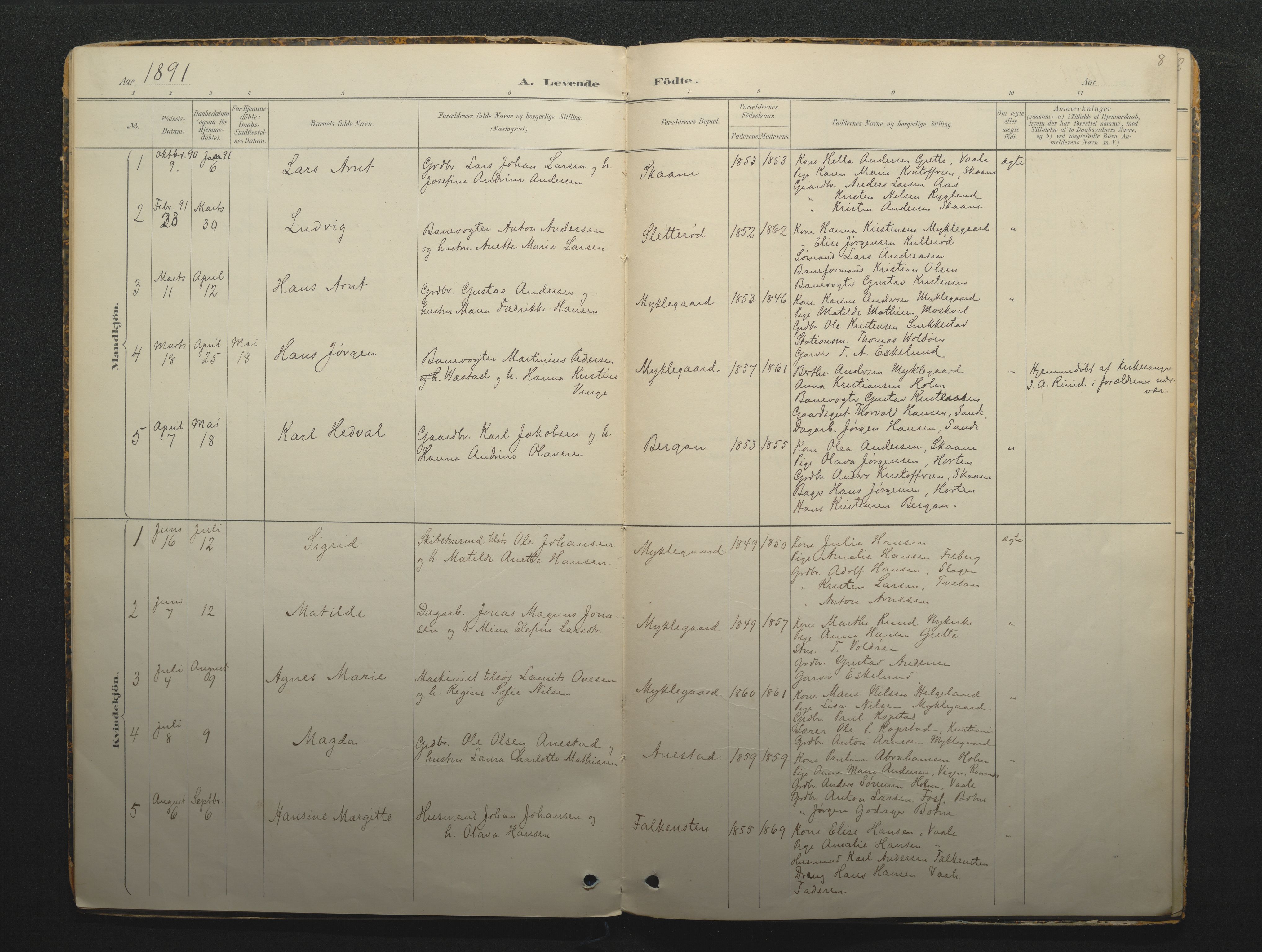 Borre kirkebøker, AV/SAKO-A-338/F/Fc/L0002: Parish register (official) no. III 2, 1888-1896, p. 8