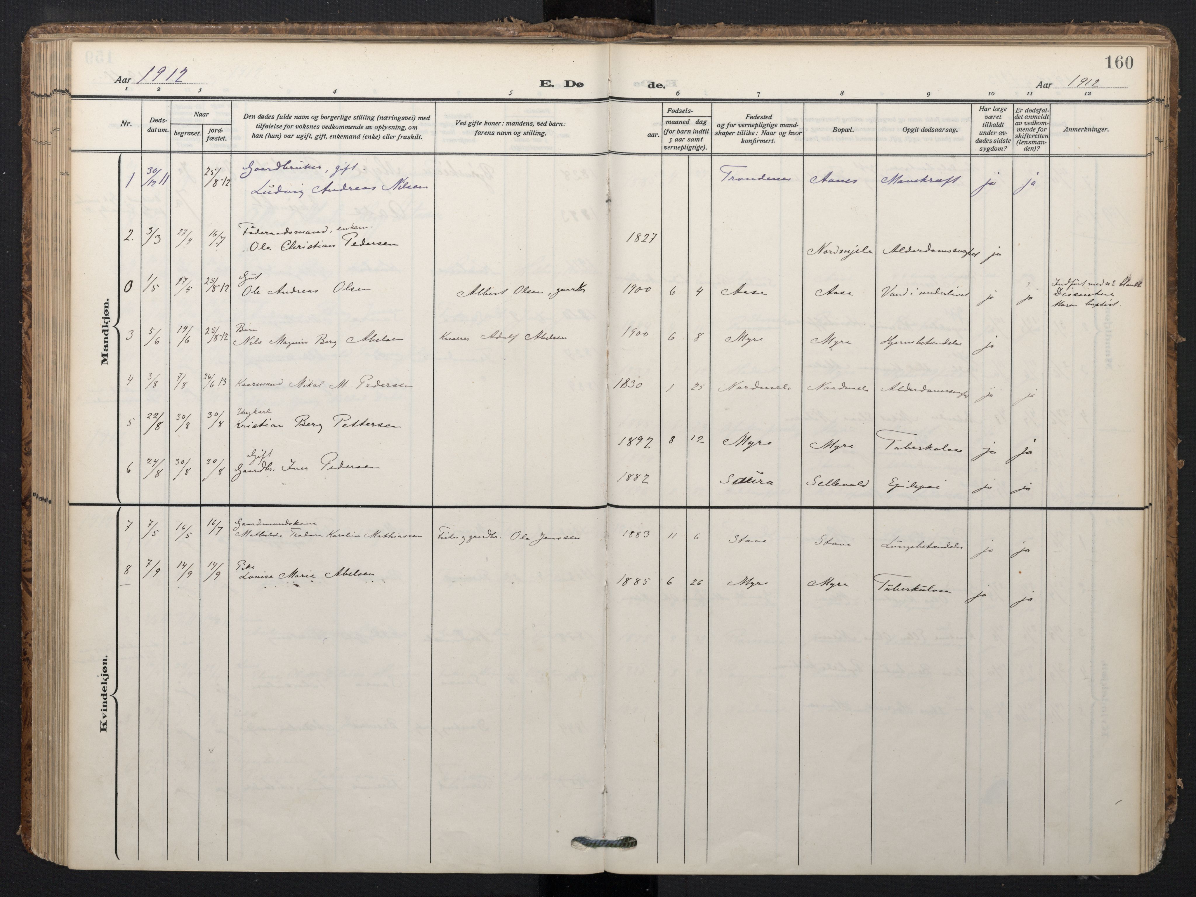 Ministerialprotokoller, klokkerbøker og fødselsregistre - Nordland, SAT/A-1459/897/L1401: Parish register (official) no. 897A08, 1909-1921, p. 160