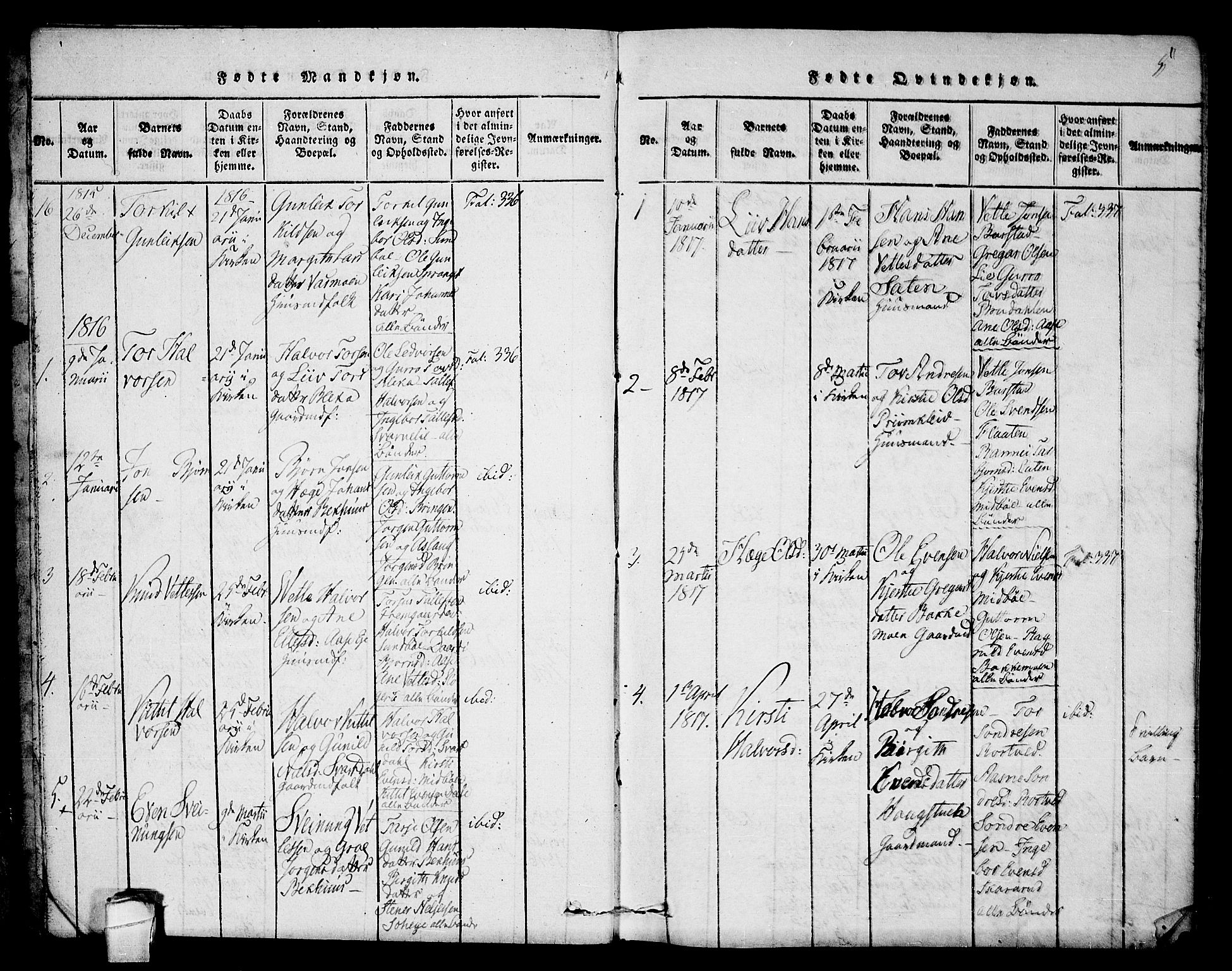Seljord kirkebøker, SAKO/A-20/F/Fb/L0001: Parish register (official) no. II 1, 1815-1831, p. 5