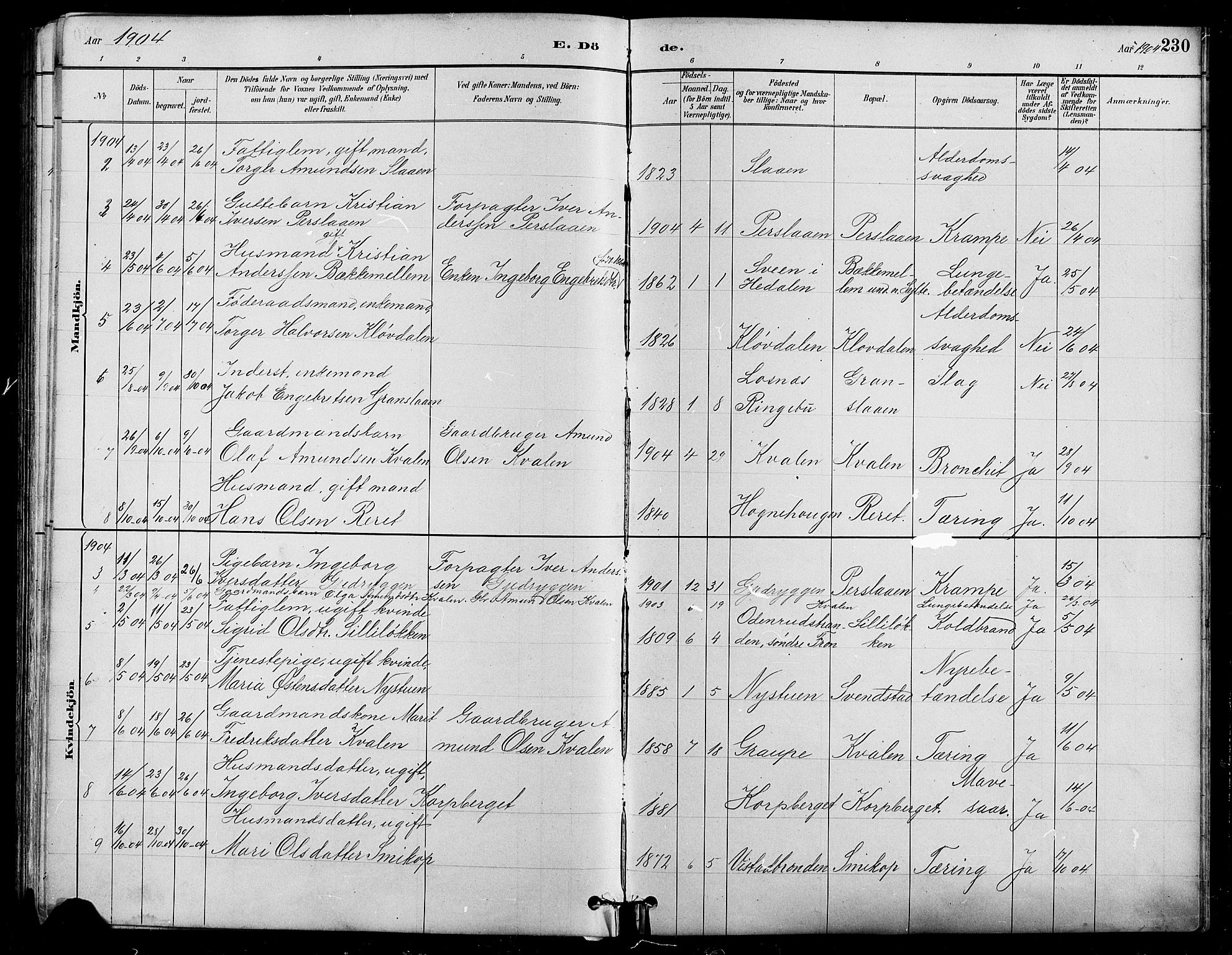Nord-Fron prestekontor, SAH/PREST-080/H/Ha/Hab/L0005: Parish register (copy) no. 5, 1884-1914, p. 230
