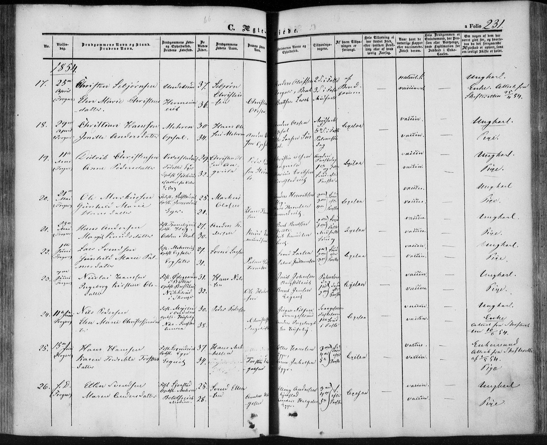 Lier kirkebøker, AV/SAKO-A-230/F/Fa/L0012: Parish register (official) no. I 12, 1854-1864, p. 231