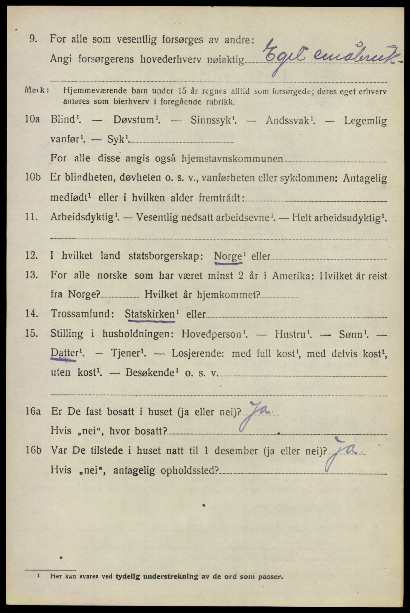 SAO, 1920 census for Nes, 1920, p. 8891