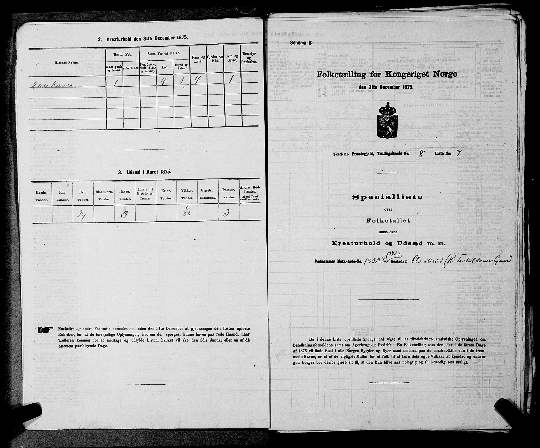 RA, 1875 census for 0231P Skedsmo, 1875, p. 1134