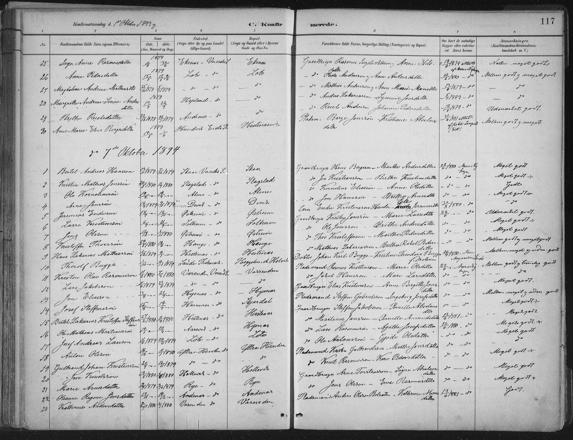 Gloppen sokneprestembete, AV/SAB-A-80101/H/Haa/Haab/L0001: Parish register (official) no. B  1, 1885-1905, p. 117