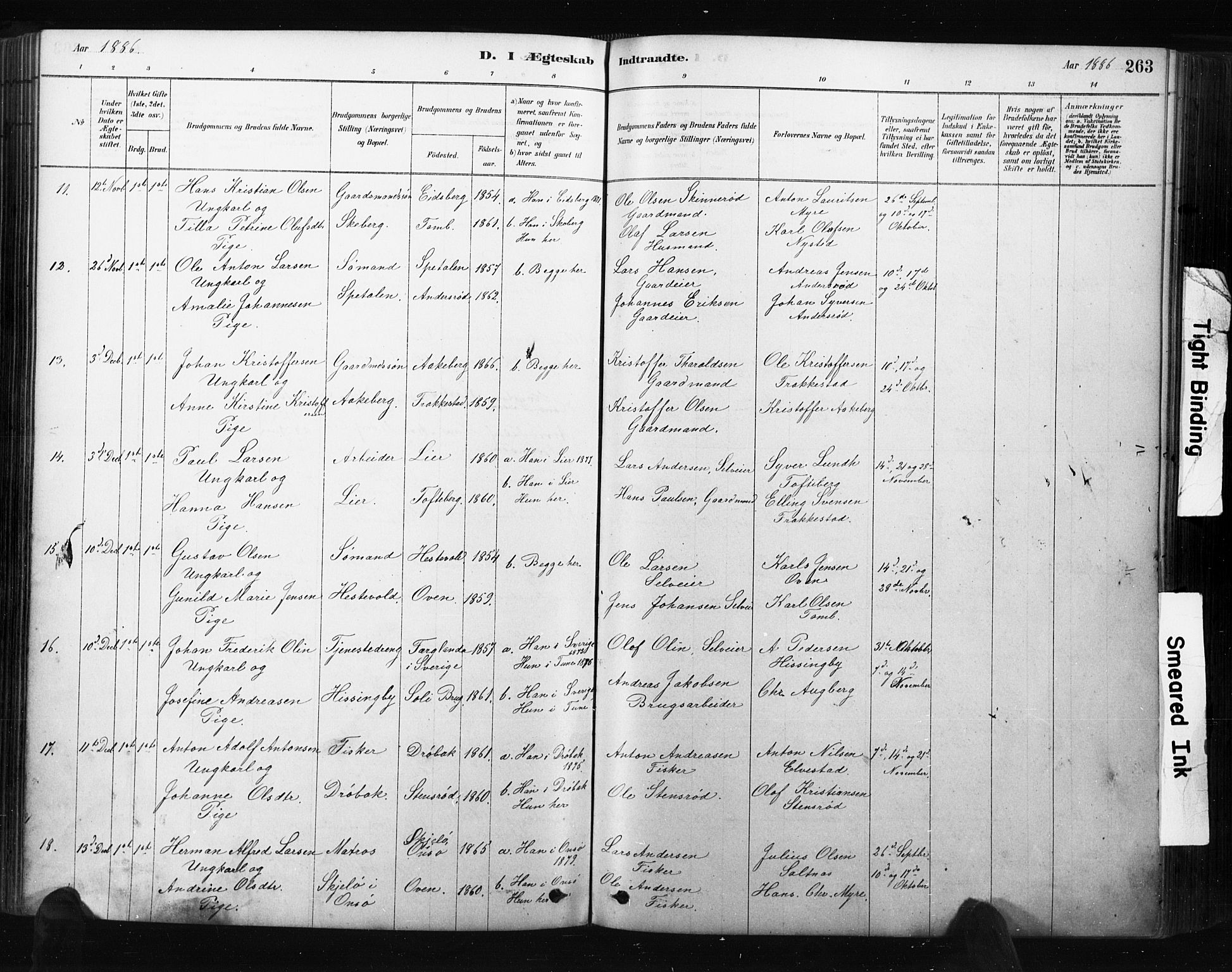 Råde prestekontor kirkebøker, AV/SAO-A-2009/F/Fa/L0007: Parish register (official) no. 7, 1878-1902, p. 263