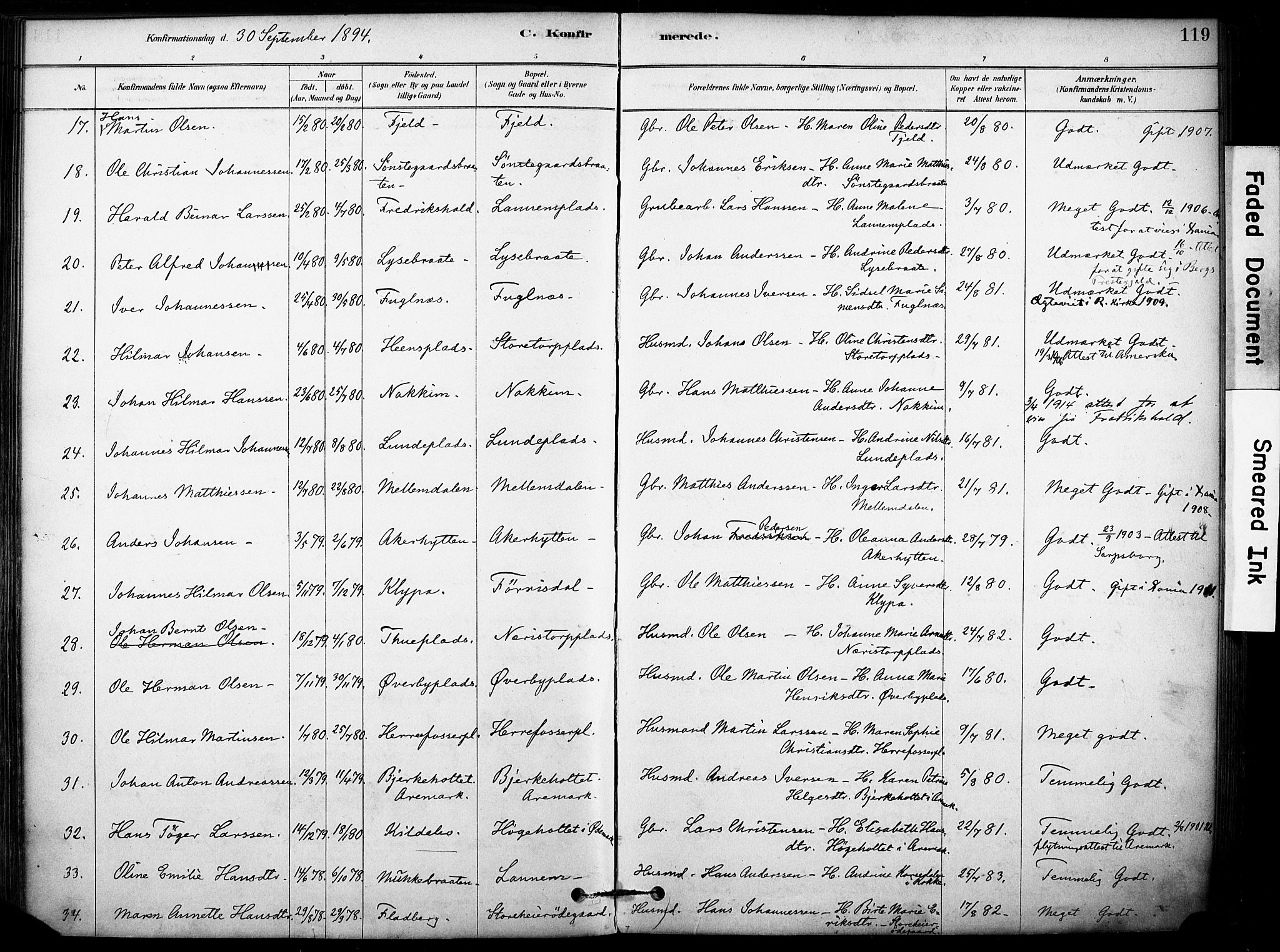 Rakkestad prestekontor Kirkebøker, AV/SAO-A-2008/F/Fb/L0001: Parish register (official) no. II 1, 1878-1899, p. 119