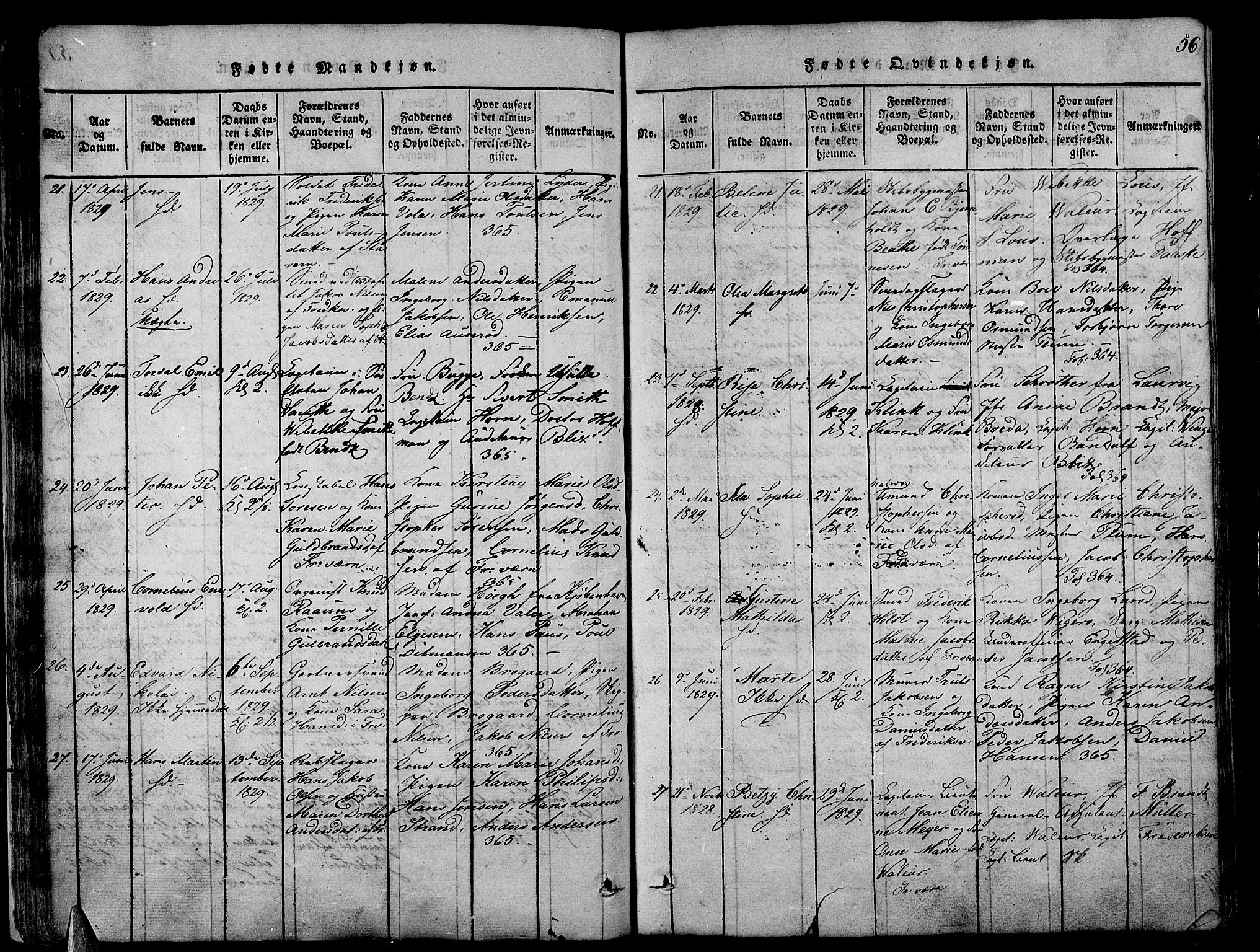 Stavern kirkebøker, AV/SAKO-A-318/G/Ga/L0001: Parish register (copy) no. 1, 1817-1841, p. 56