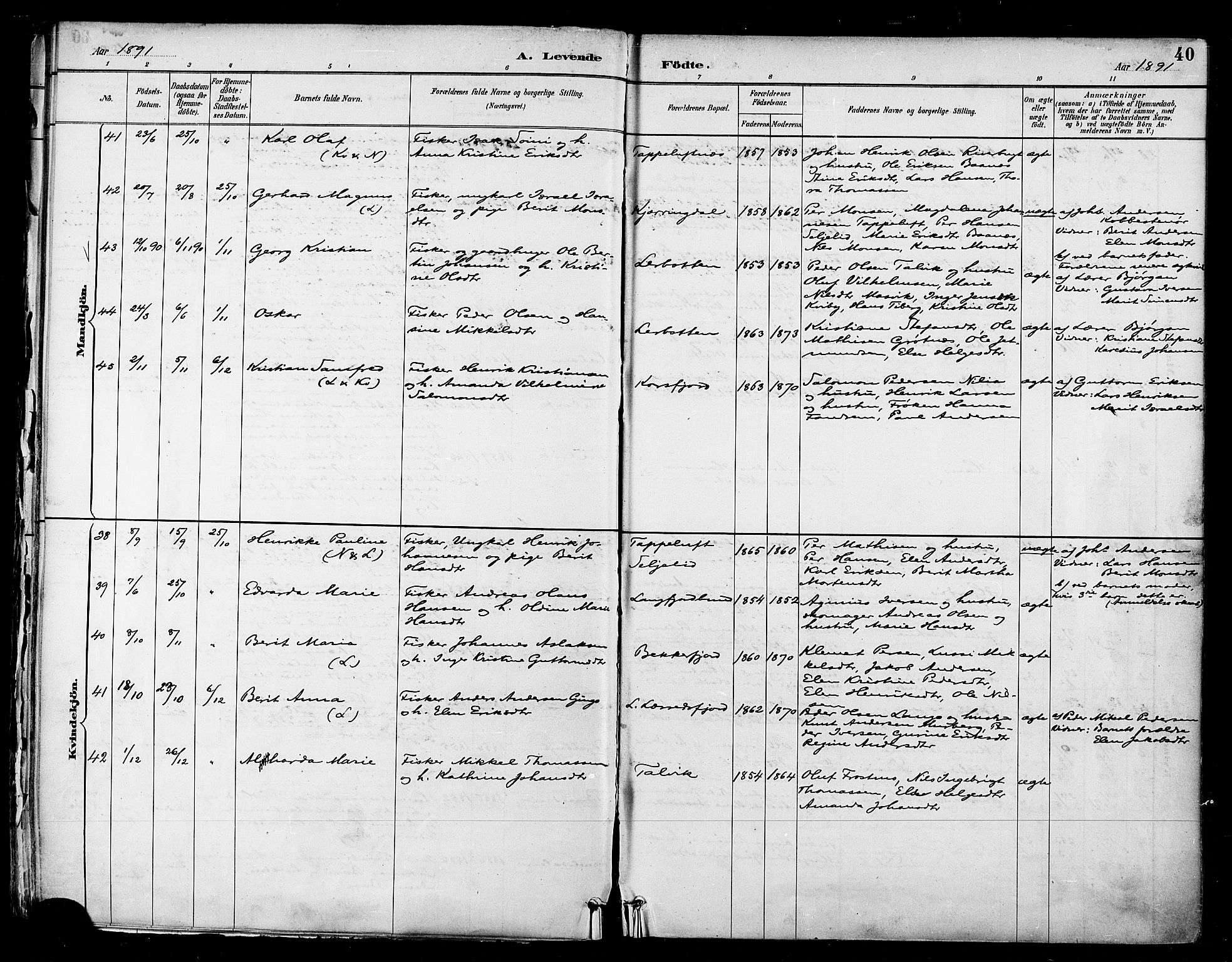 Talvik sokneprestkontor, AV/SATØ-S-1337/H/Ha/L0013kirke: Parish register (official) no. 13, 1886-1897, p. 40