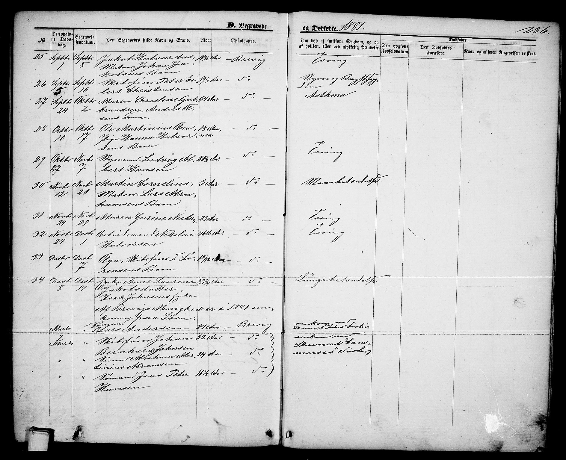 Brevik kirkebøker, AV/SAKO-A-255/G/Ga/L0003: Parish register (copy) no. 3, 1866-1881, p. 286