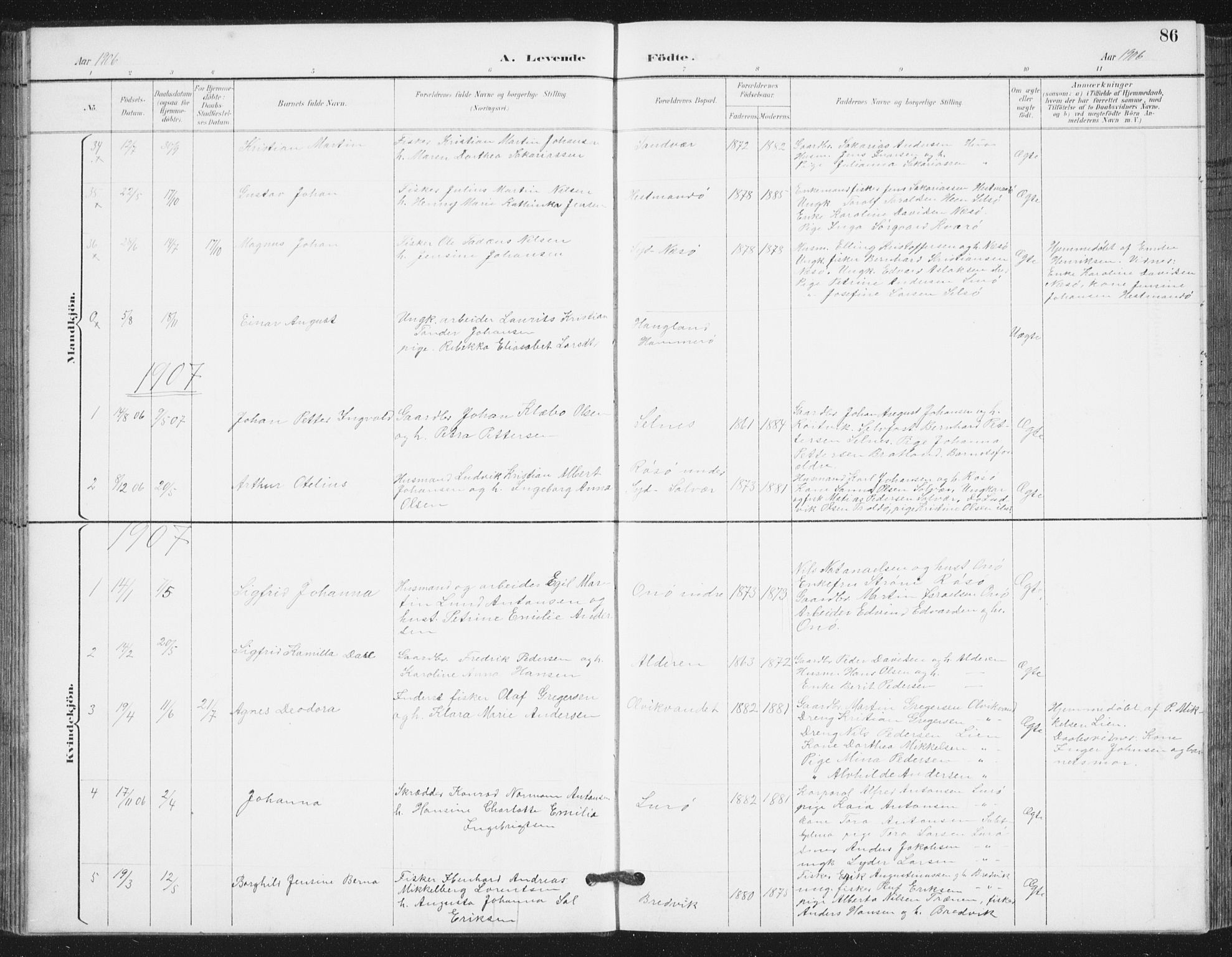 Ministerialprotokoller, klokkerbøker og fødselsregistre - Nordland, SAT/A-1459/839/L0573: Parish register (copy) no. 839C03, 1892-1917, p. 86