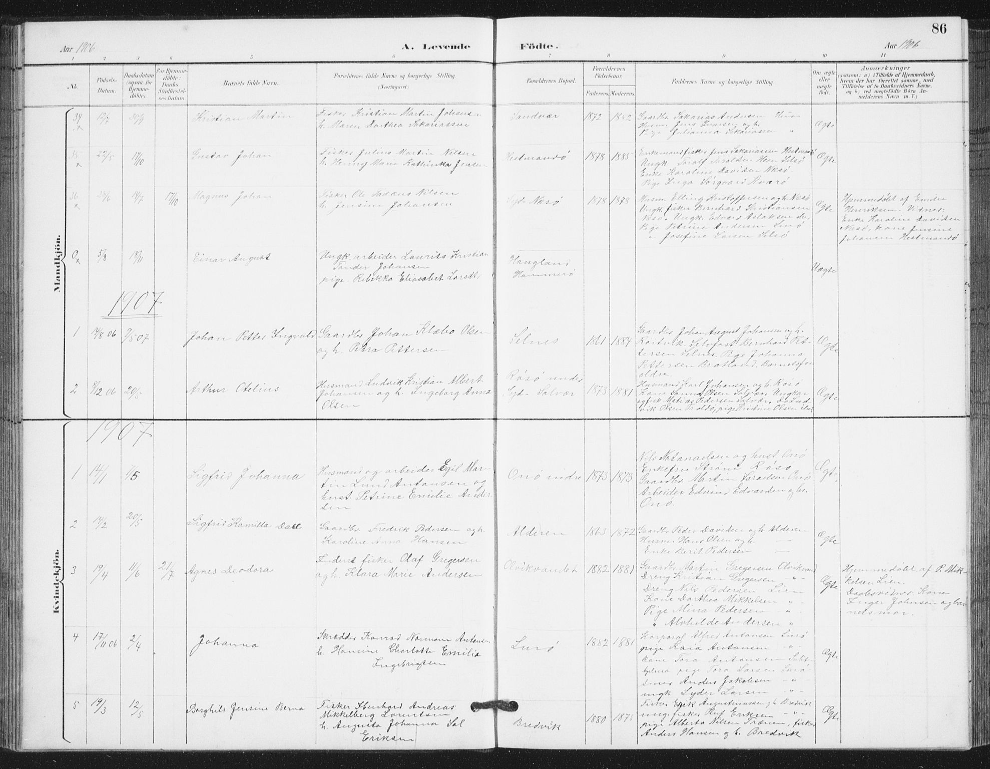 Ministerialprotokoller, klokkerbøker og fødselsregistre - Nordland, AV/SAT-A-1459/839/L0573: Parish register (copy) no. 839C03, 1892-1917, p. 86