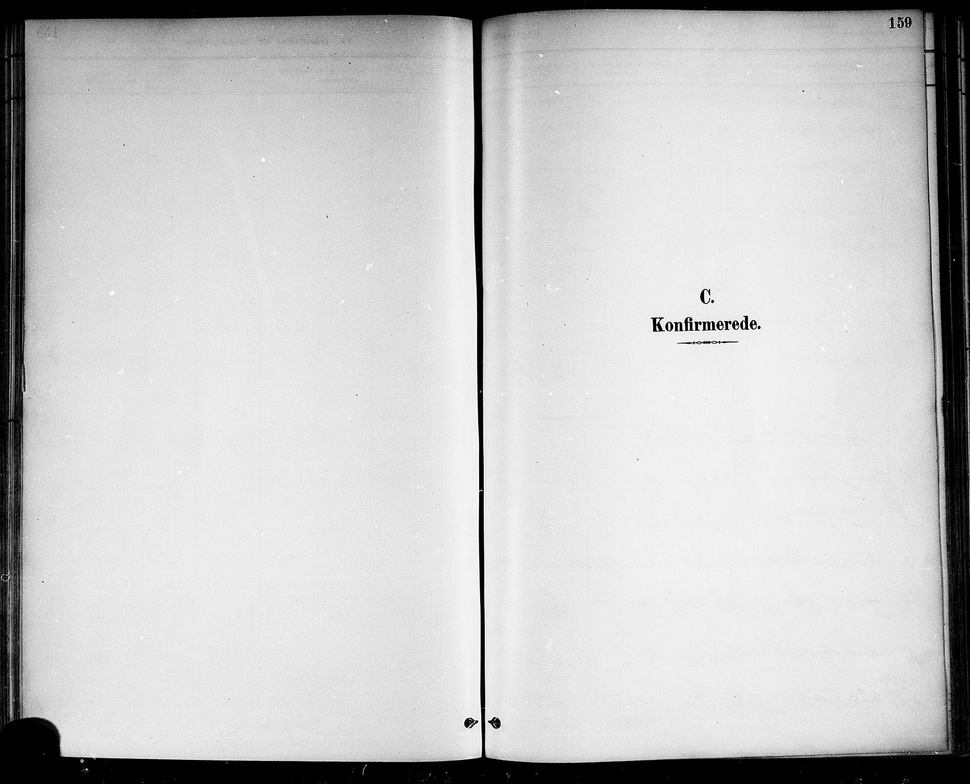 Drangedal kirkebøker, SAKO/A-258/F/Fa/L0010: Parish register (official) no. 10 /1, 1885-1894, p. 159