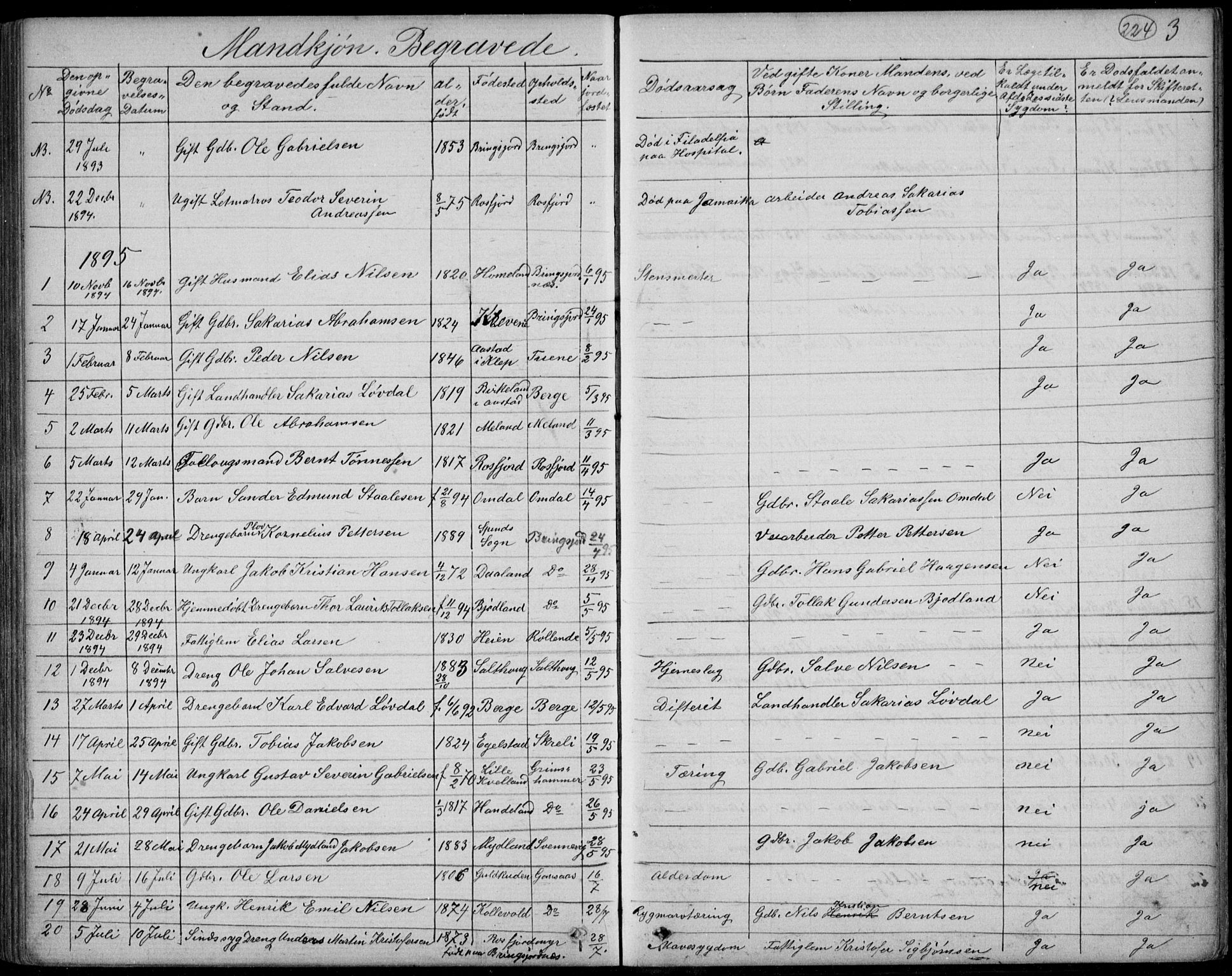 Lyngdal sokneprestkontor, AV/SAK-1111-0029/F/Fb/Fbc/L0004: Parish register (copy) no. B 4, 1878-1896, p. 224