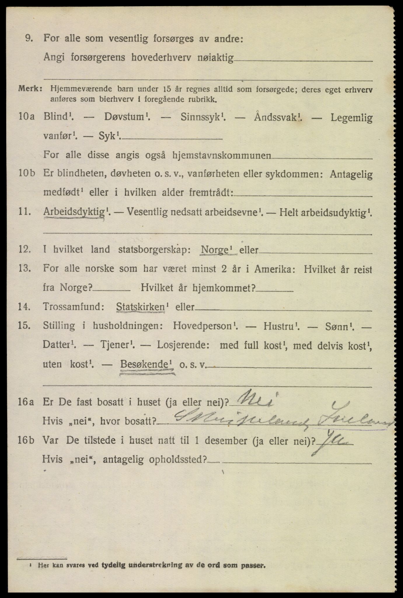 SAK, 1920 census for Hornnes, 1920, p. 2516
