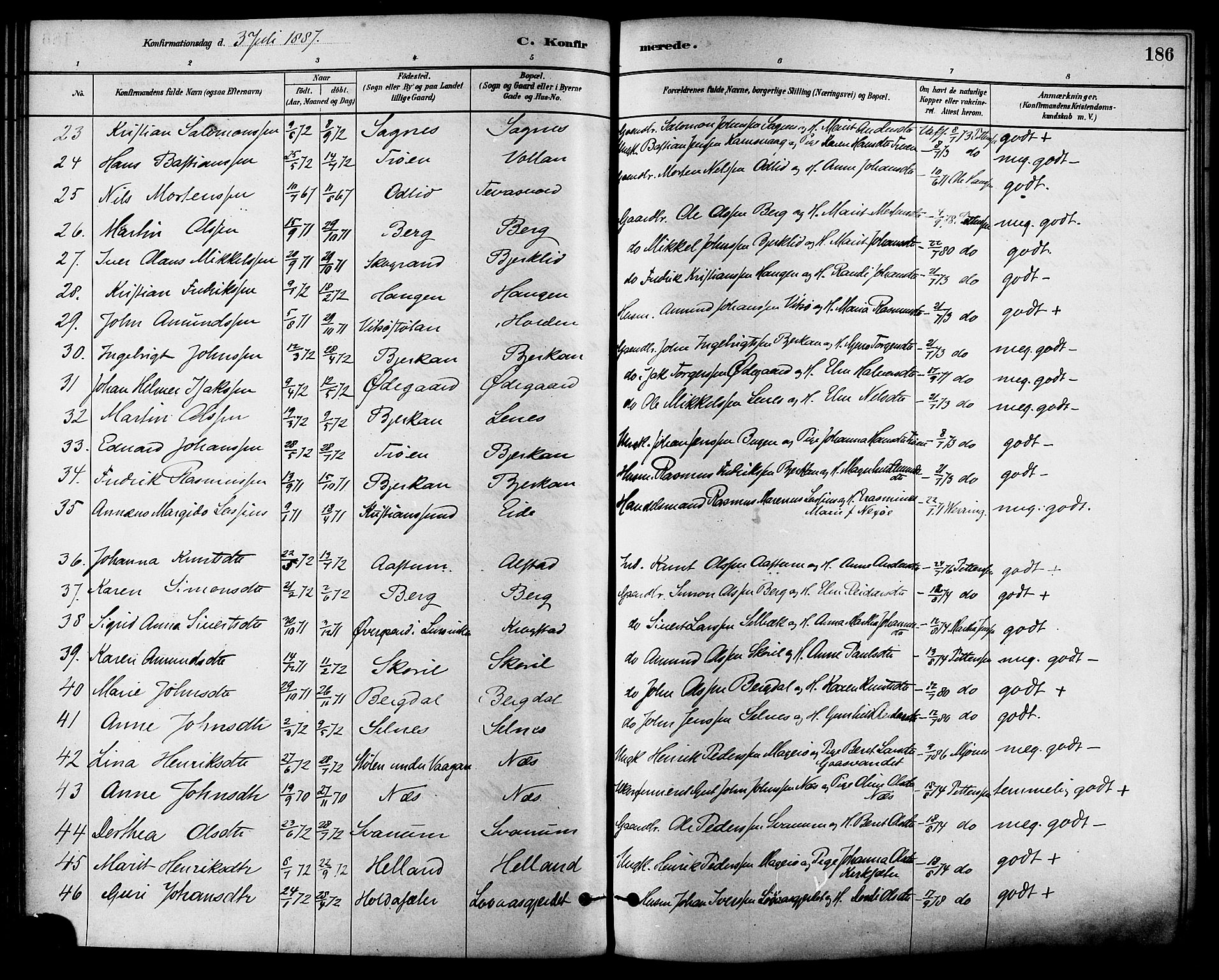 Ministerialprotokoller, klokkerbøker og fødselsregistre - Sør-Trøndelag, SAT/A-1456/630/L0496: Parish register (official) no. 630A09, 1879-1895, p. 186