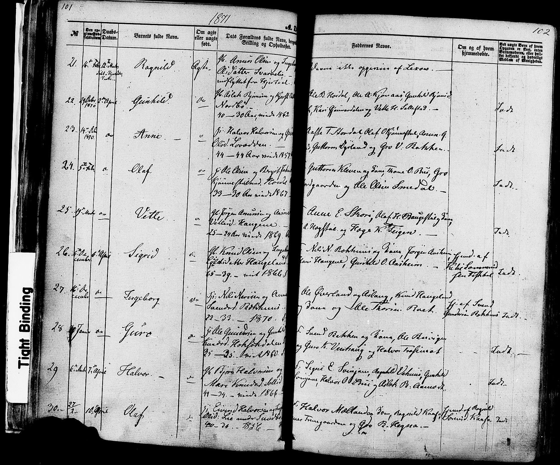 Seljord kirkebøker, AV/SAKO-A-20/F/Fa/L0013: Parish register (official) no. I 13, 1866-1876, p. 101-102