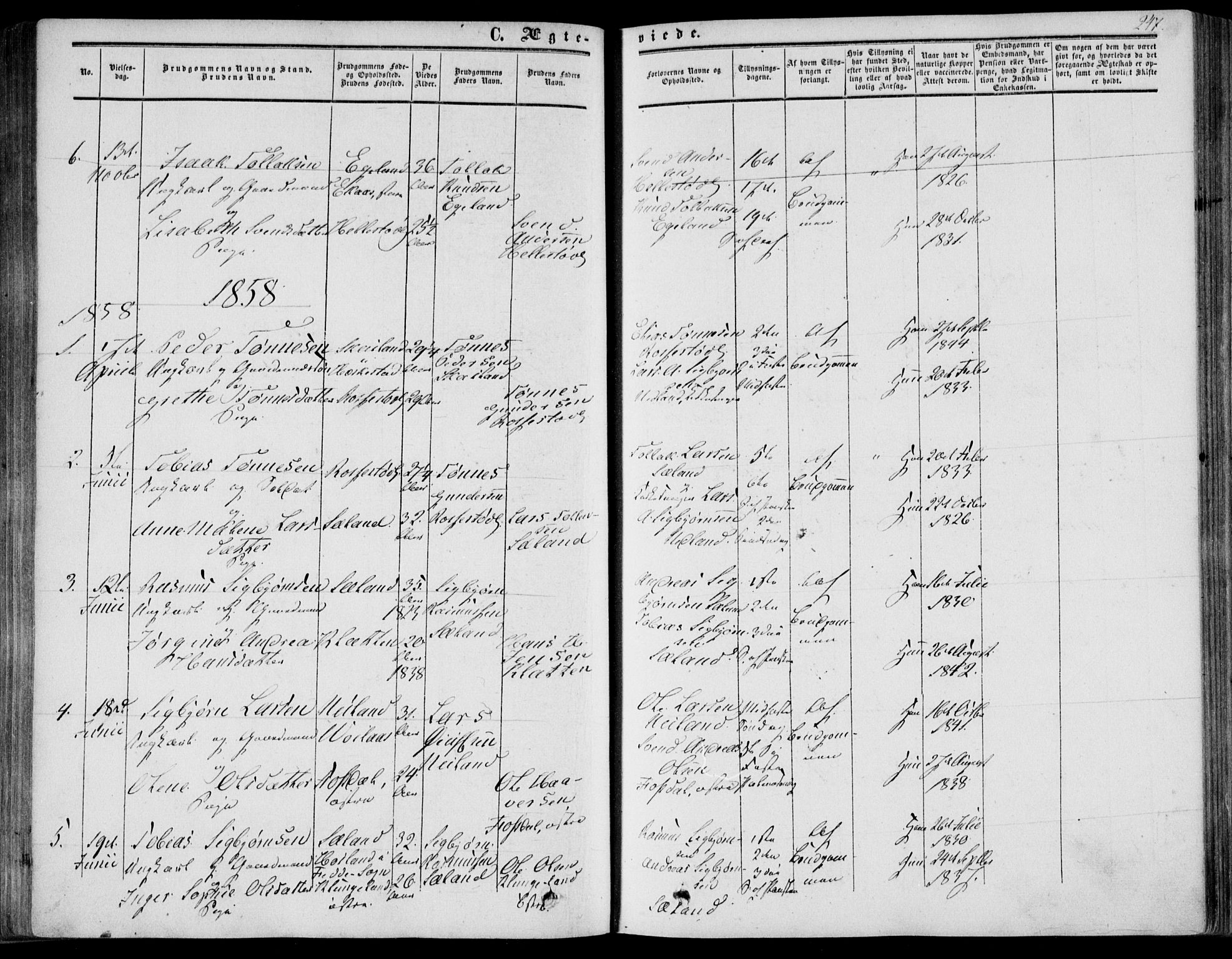 Bakke sokneprestkontor, SAK/1111-0002/F/Fa/Fab/L0002: Parish register (official) no. A 2, 1855-1884, p. 247