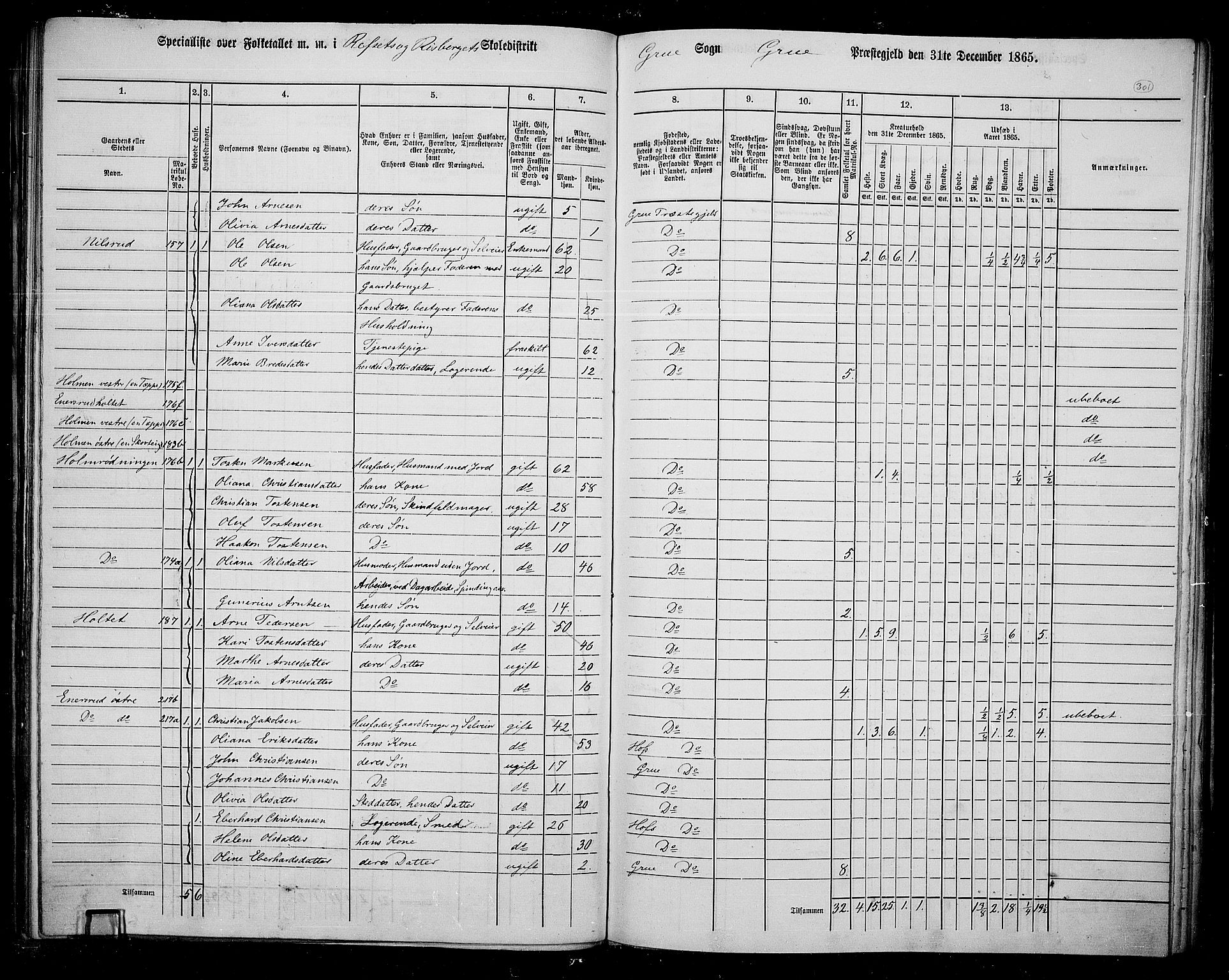 RA, 1865 census for Grue, 1865, p. 264