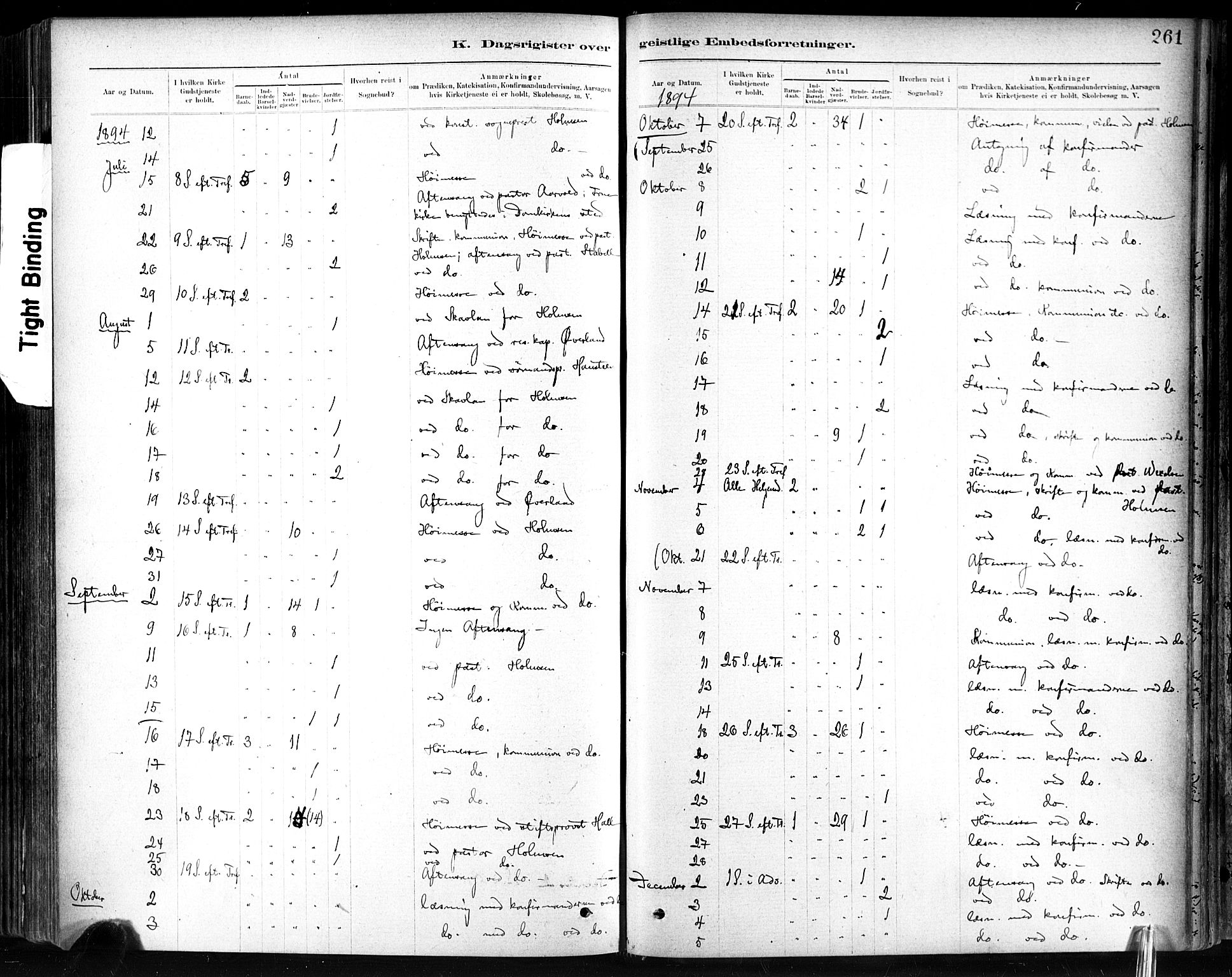 Ministerialprotokoller, klokkerbøker og fødselsregistre - Sør-Trøndelag, AV/SAT-A-1456/602/L0120: Parish register (official) no. 602A18, 1880-1913, p. 261