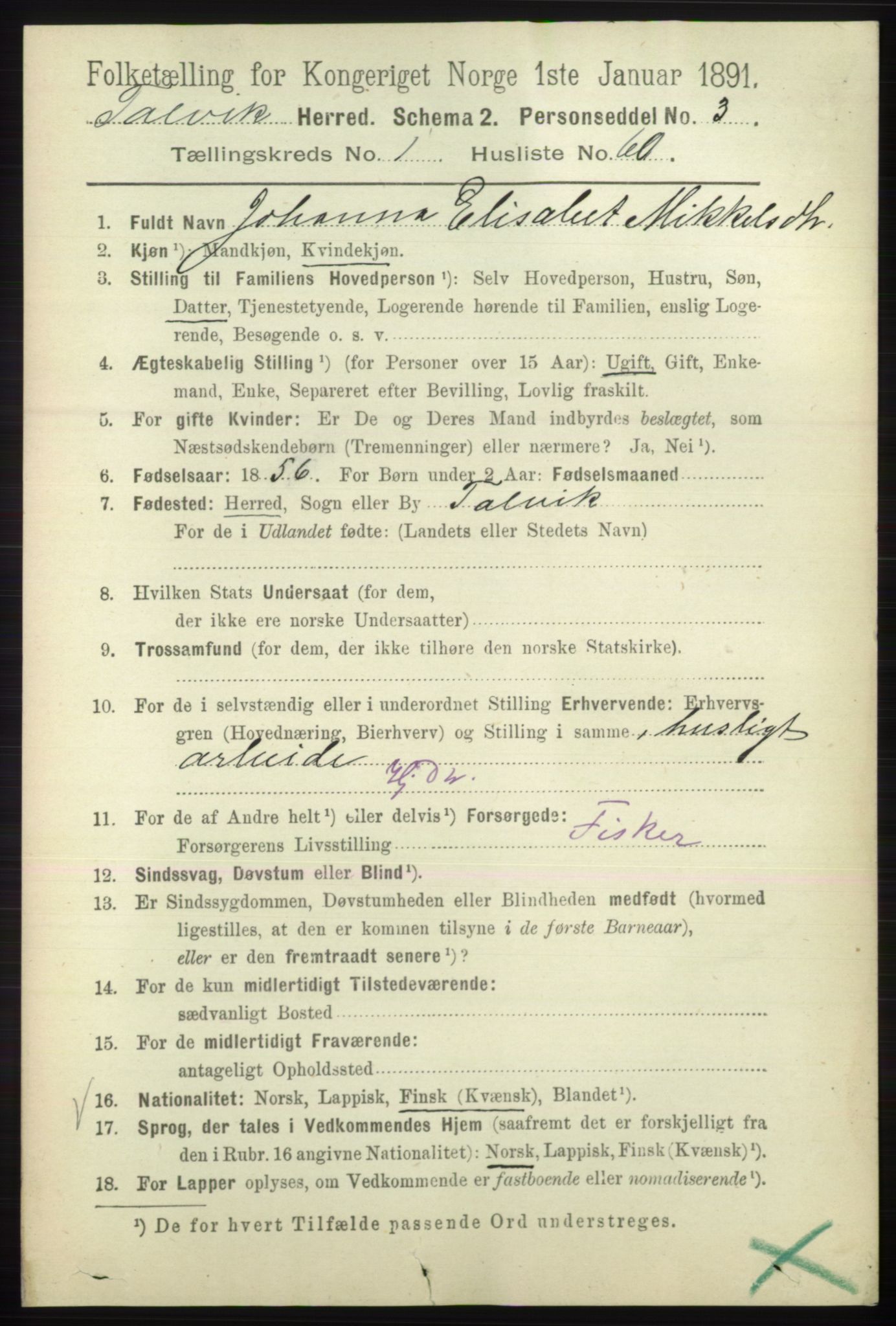 RA, 1891 census for 2013 Talvik, 1891, p. 482