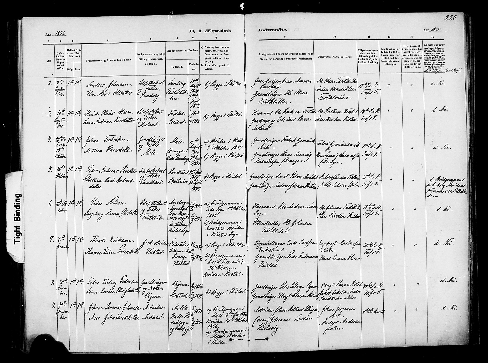 Ministerialprotokoller, klokkerbøker og fødselsregistre - Møre og Romsdal, AV/SAT-A-1454/567/L0778: Parish register (official) no. 567A01, 1881-1903, p. 220