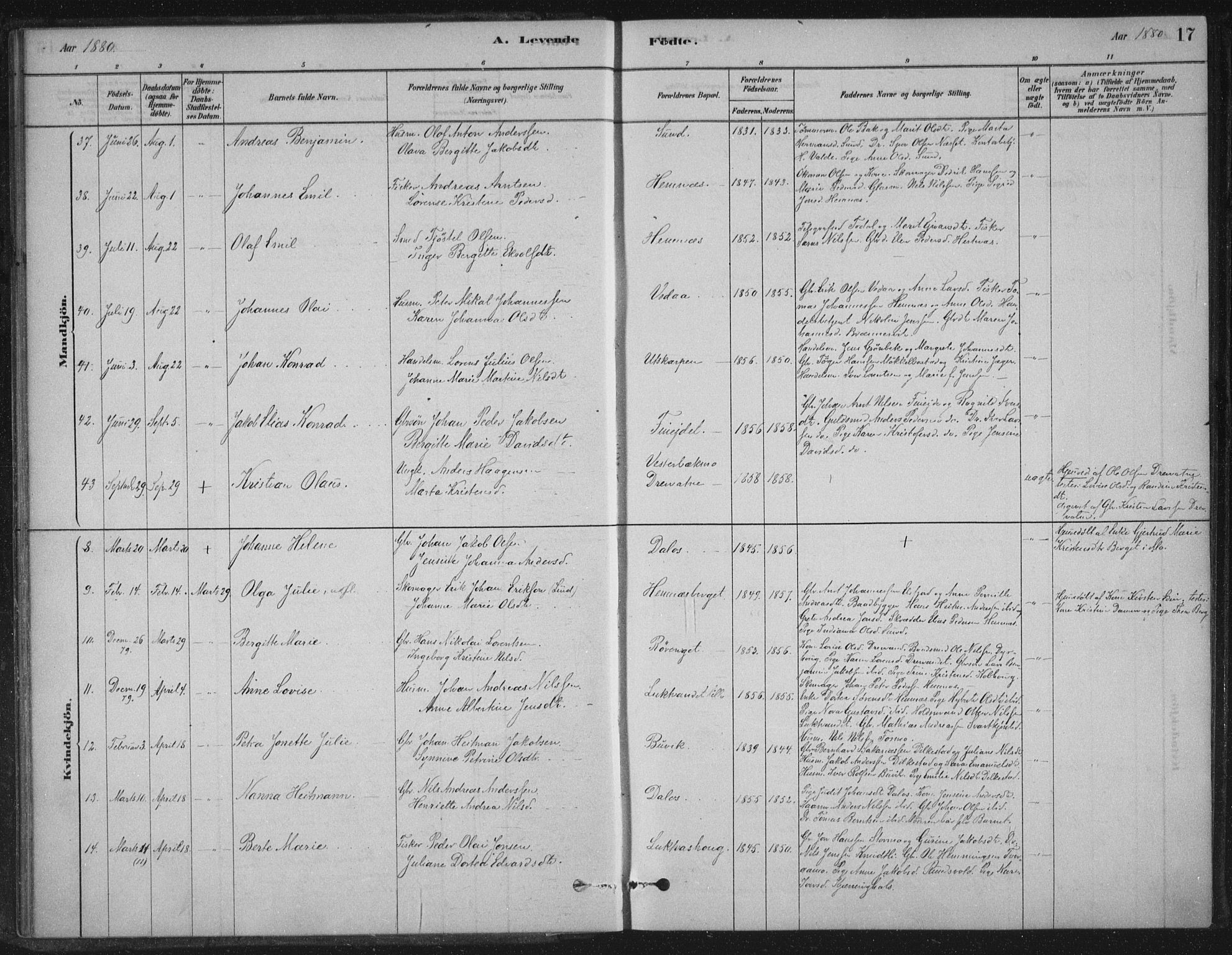 Ministerialprotokoller, klokkerbøker og fødselsregistre - Nordland, SAT/A-1459/825/L0361: Parish register (official) no. 825A15, 1878-1893, p. 17