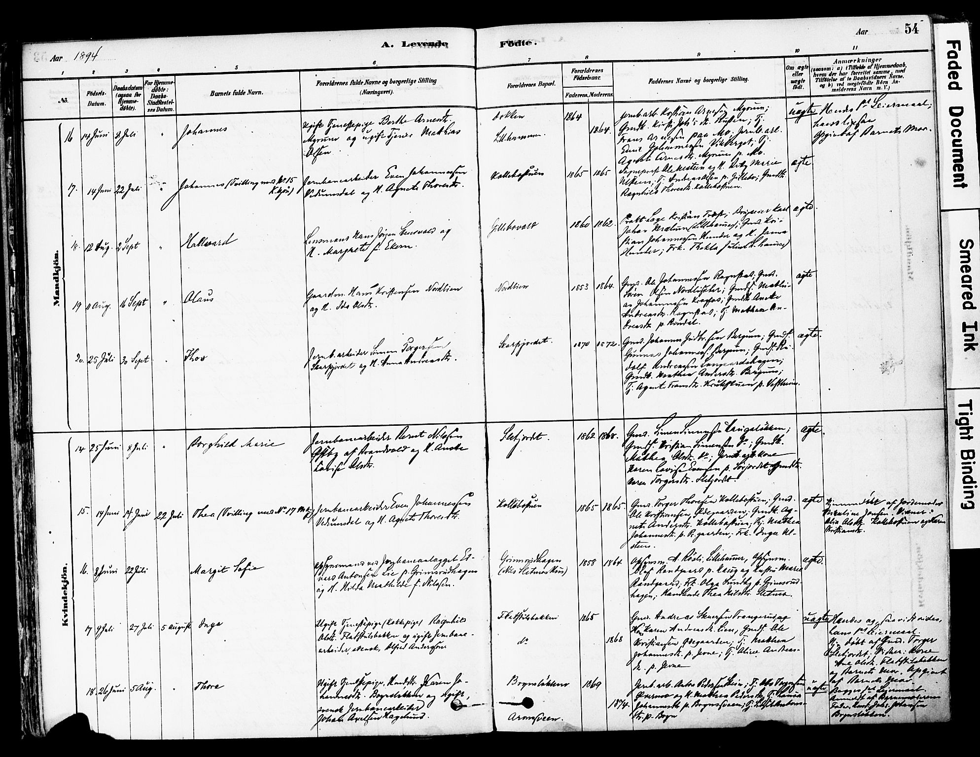 Øyer prestekontor, AV/SAH-PREST-084/H/Ha/Haa/L0008: Parish register (official) no. 8, 1878-1897, p. 54