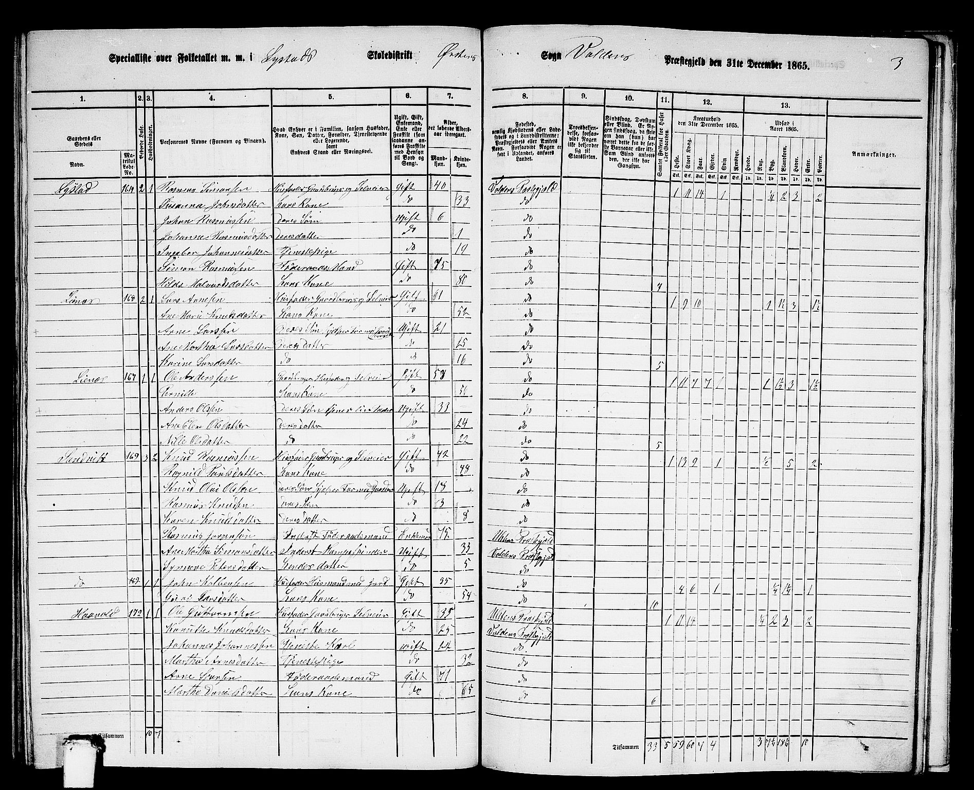 RA, 1865 census for Volda, 1865, p. 164