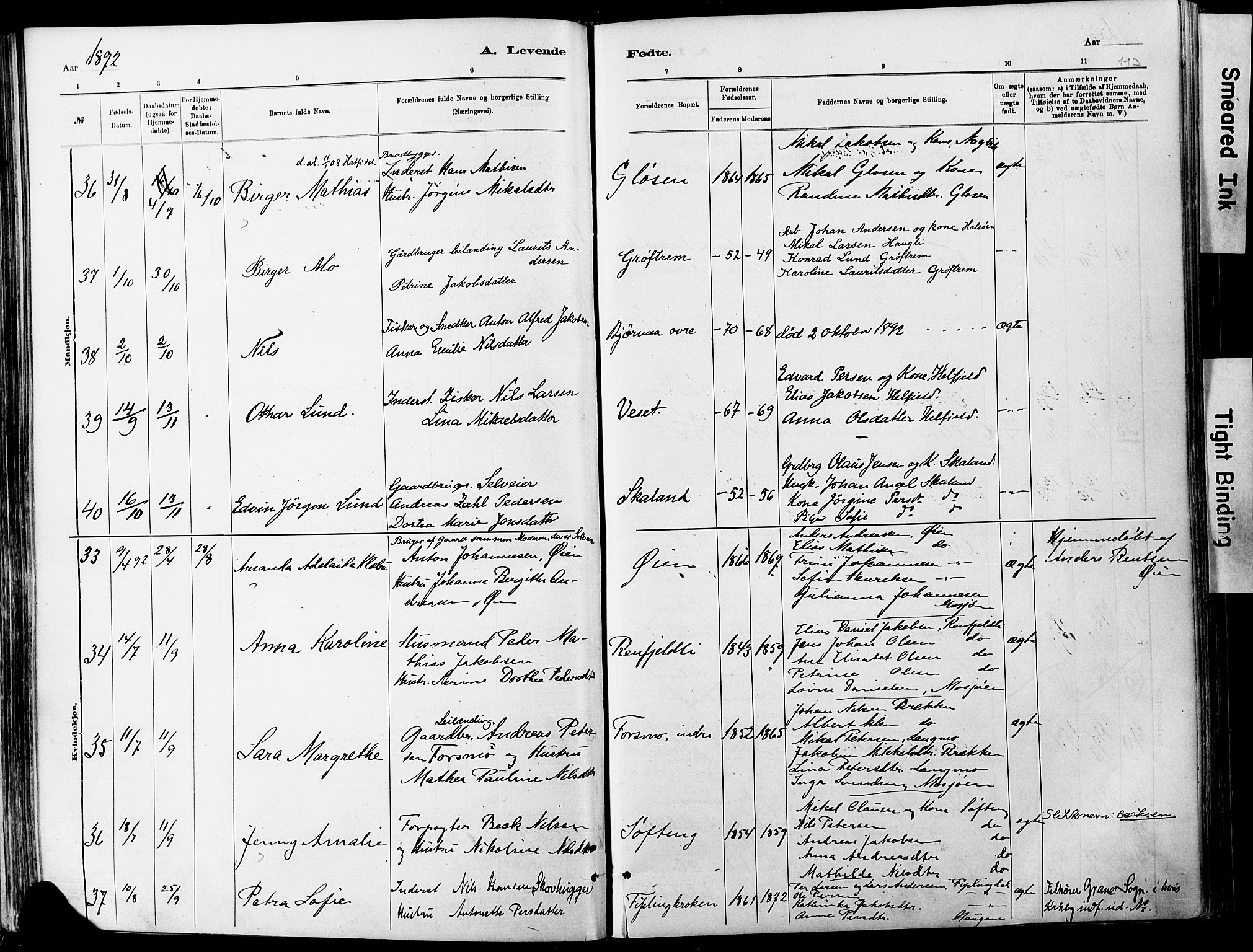 Ministerialprotokoller, klokkerbøker og fødselsregistre - Nordland, AV/SAT-A-1459/820/L0295: Parish register (official) no. 820A16, 1880-1896, p. 113