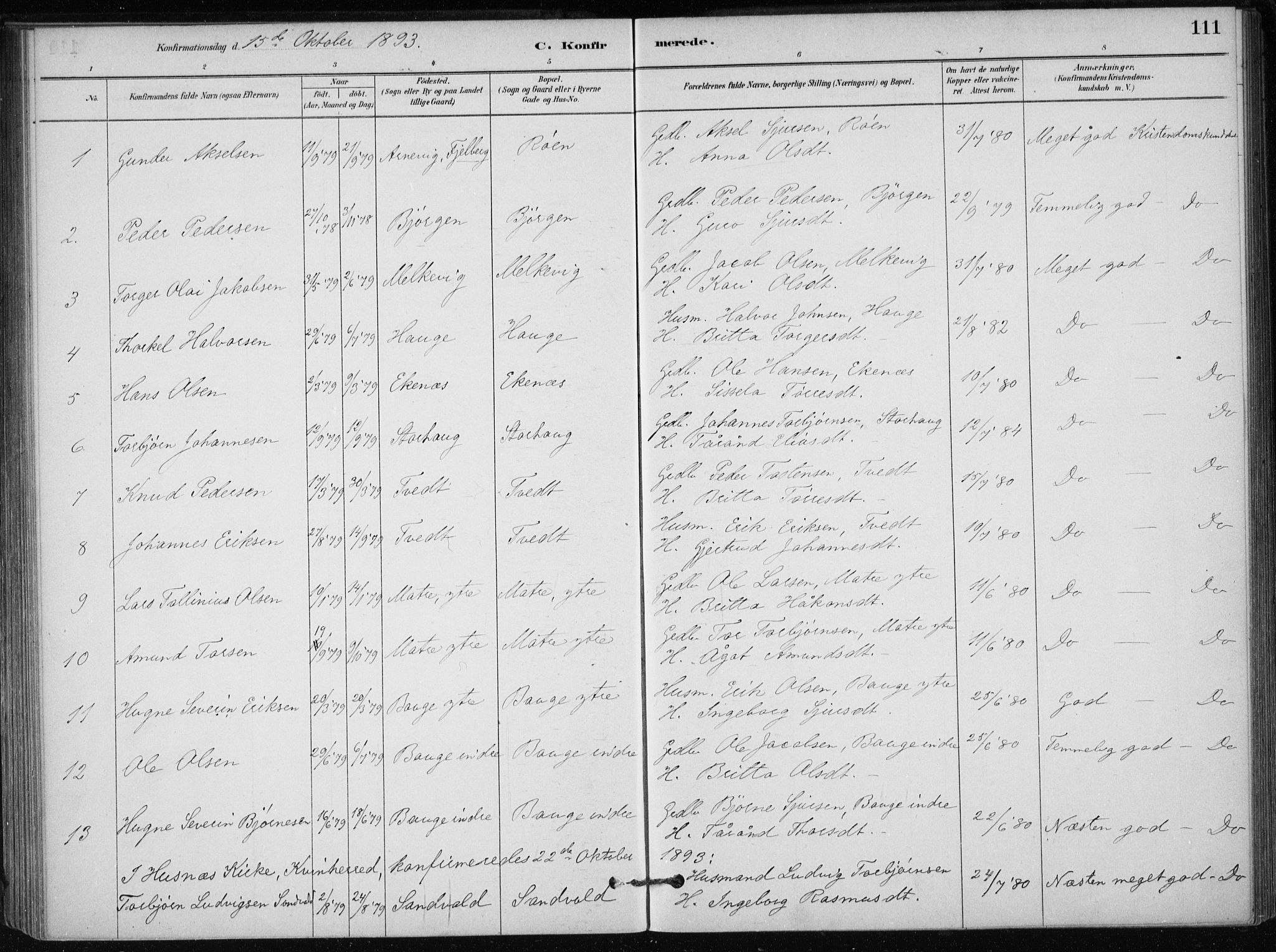Skånevik sokneprestembete, SAB/A-77801/H/Haa: Parish register (official) no. C  1, 1879-1917, p. 111
