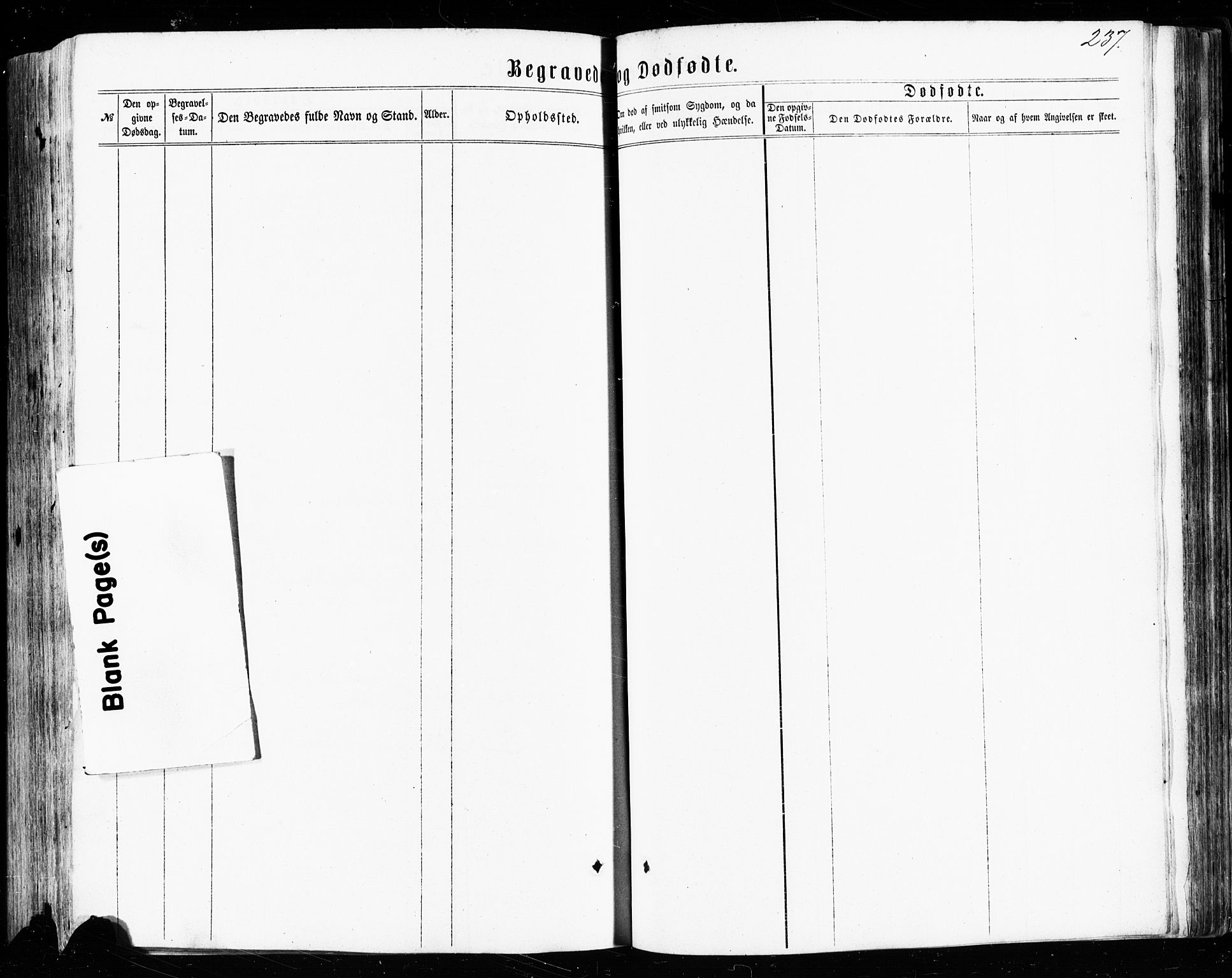 Avaldsnes sokneprestkontor, SAST/A -101851/H/Ha/Haa/L0011: Parish register (official) no. A 11, 1861-1880, p. 237
